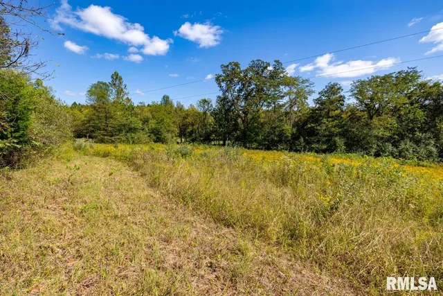 $275,000 | 160S South Iron Furnace Road, Elizabethtown, IL 62931