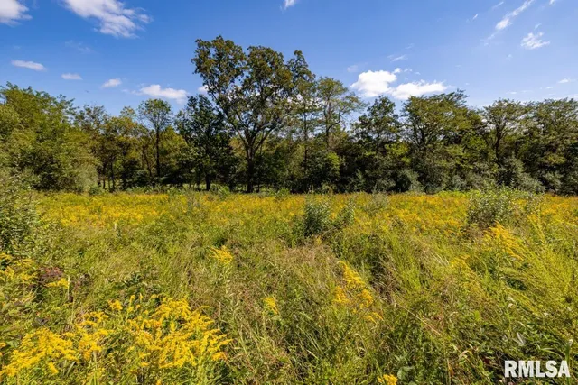 $275,000 | 160S South Iron Furnace Road, Elizabethtown, IL 62931