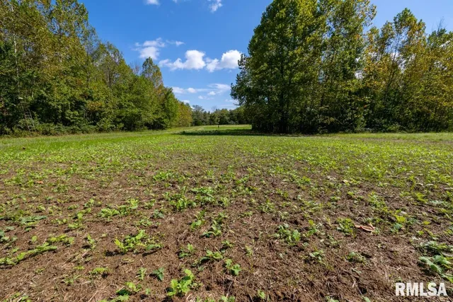 $275,000 | 160S South Iron Furnace Road, Elizabethtown, IL 62931