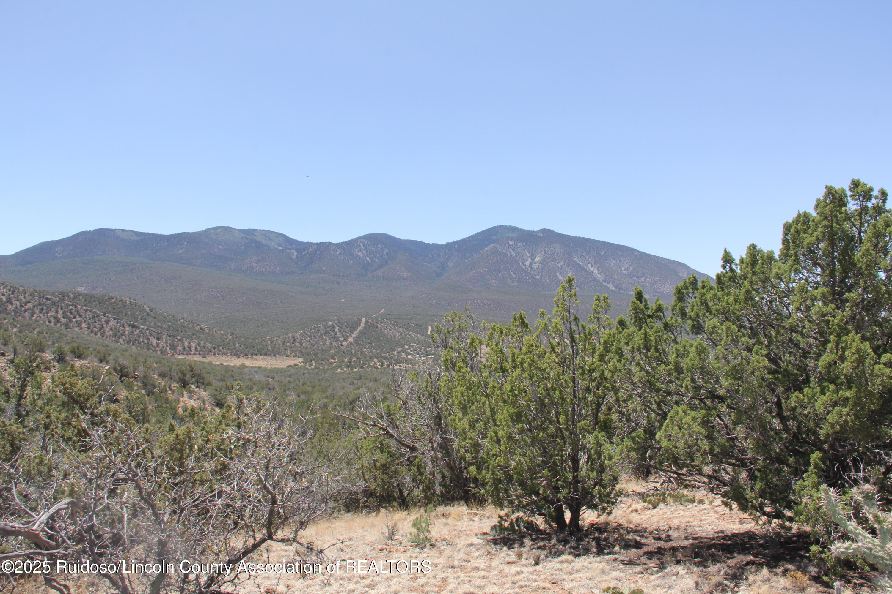Tbd Jicarilla Road Carrizozo, NM 88301 - Photo 18 of 53 Gallery Image 18