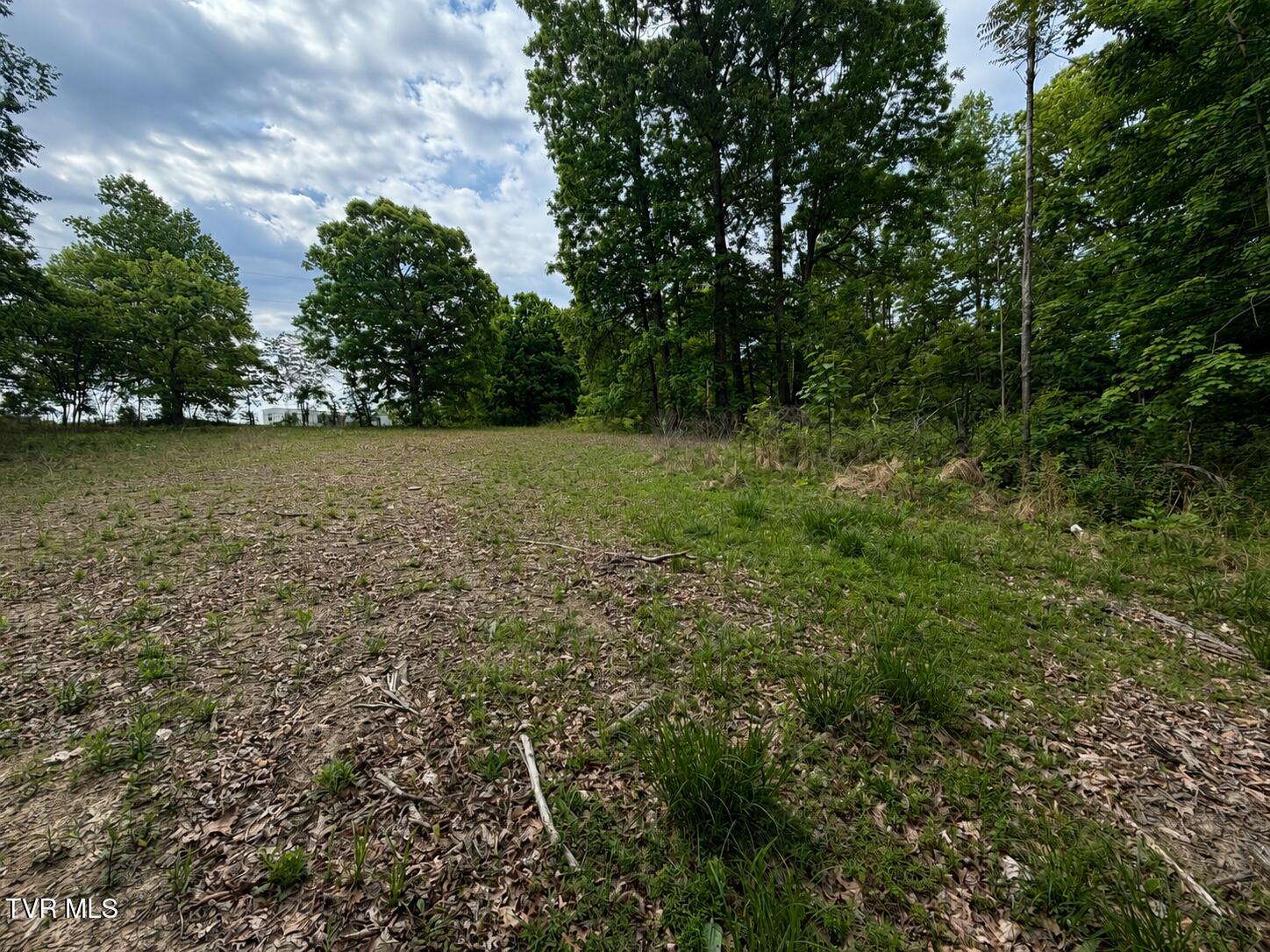 955 Old Hall Road, Unit 1 Chuckey, TN 37641 - Photo 3 of 31 New Picture
