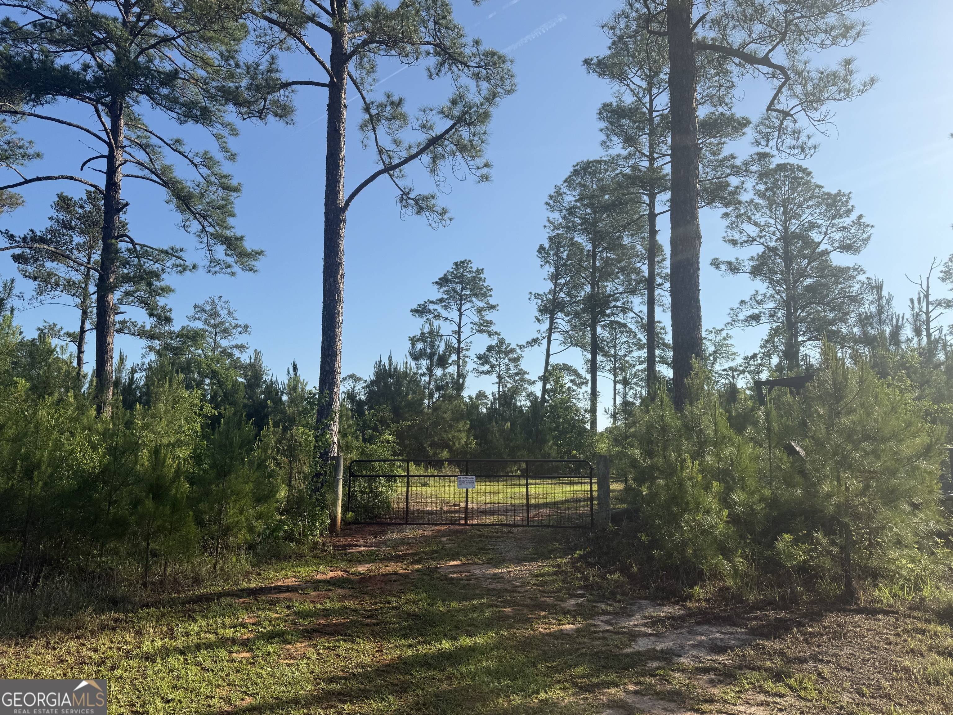 50 Harvest Road Coleman, GA 39836 - Photo 2 of 37 a view of a lake