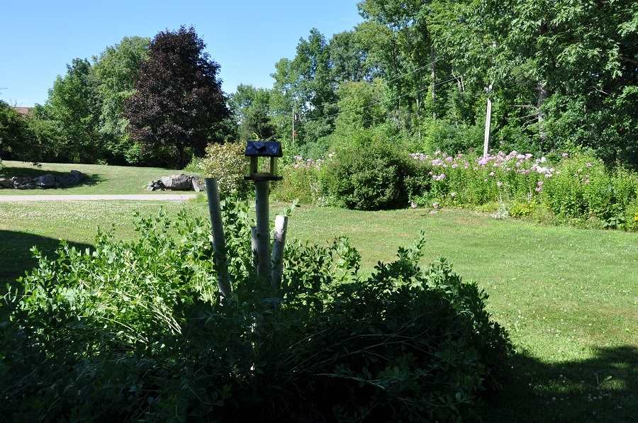 A1 Wade Farm Road Newmarket, NH 03857 - Photo 3 of 17 Gallery Image 3