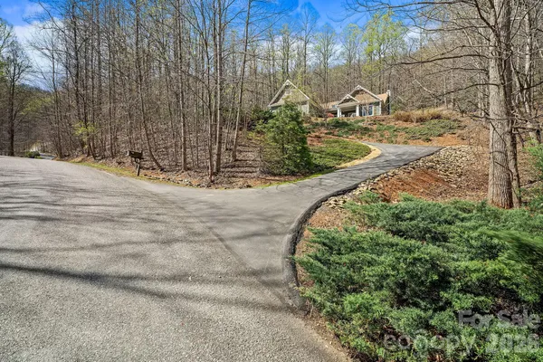 a view of a yard with large trees
