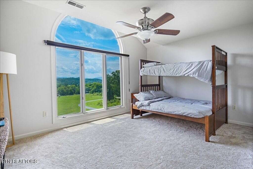 110 Porterfield Gap Road Seymour, TN 37865 - Photo 34 of 54 Gallery Image 34