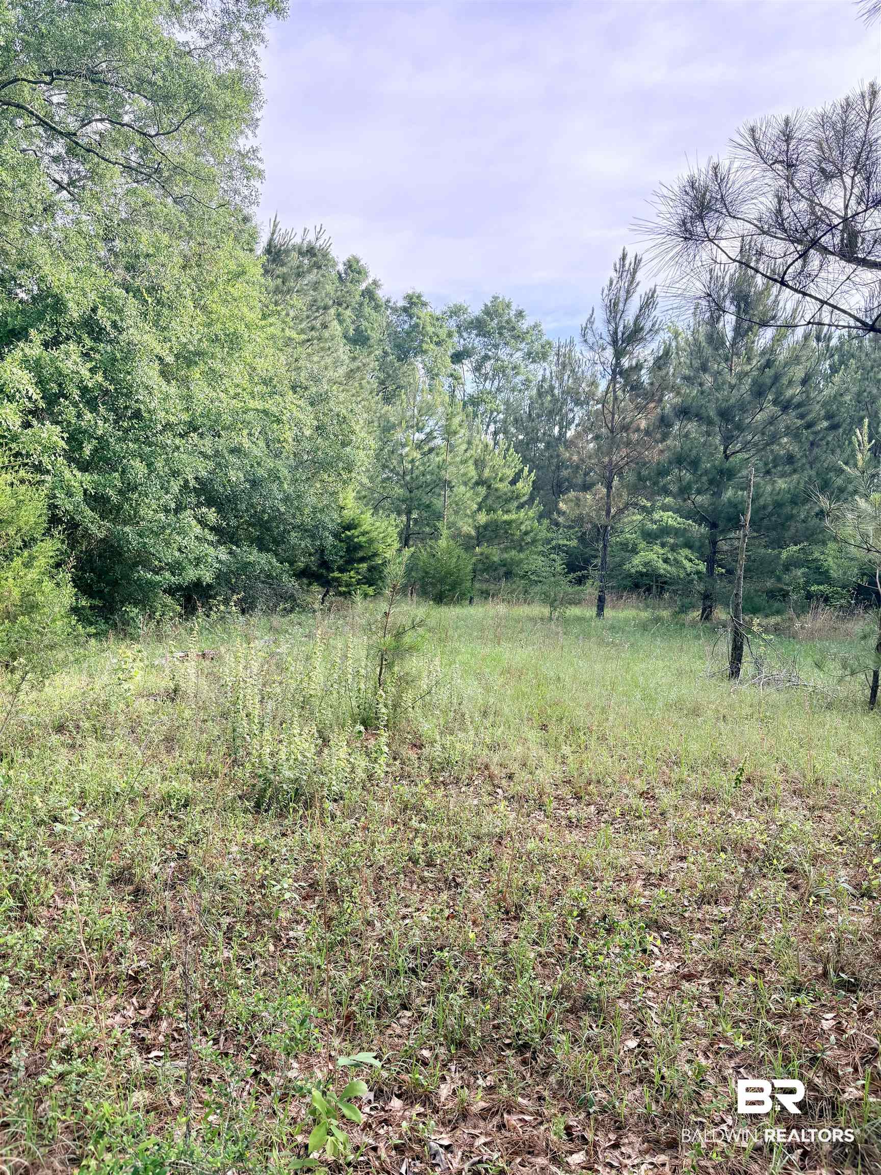 0 Joe Reeves Road Castleberry, AL 36432 - Photo 14 of 14