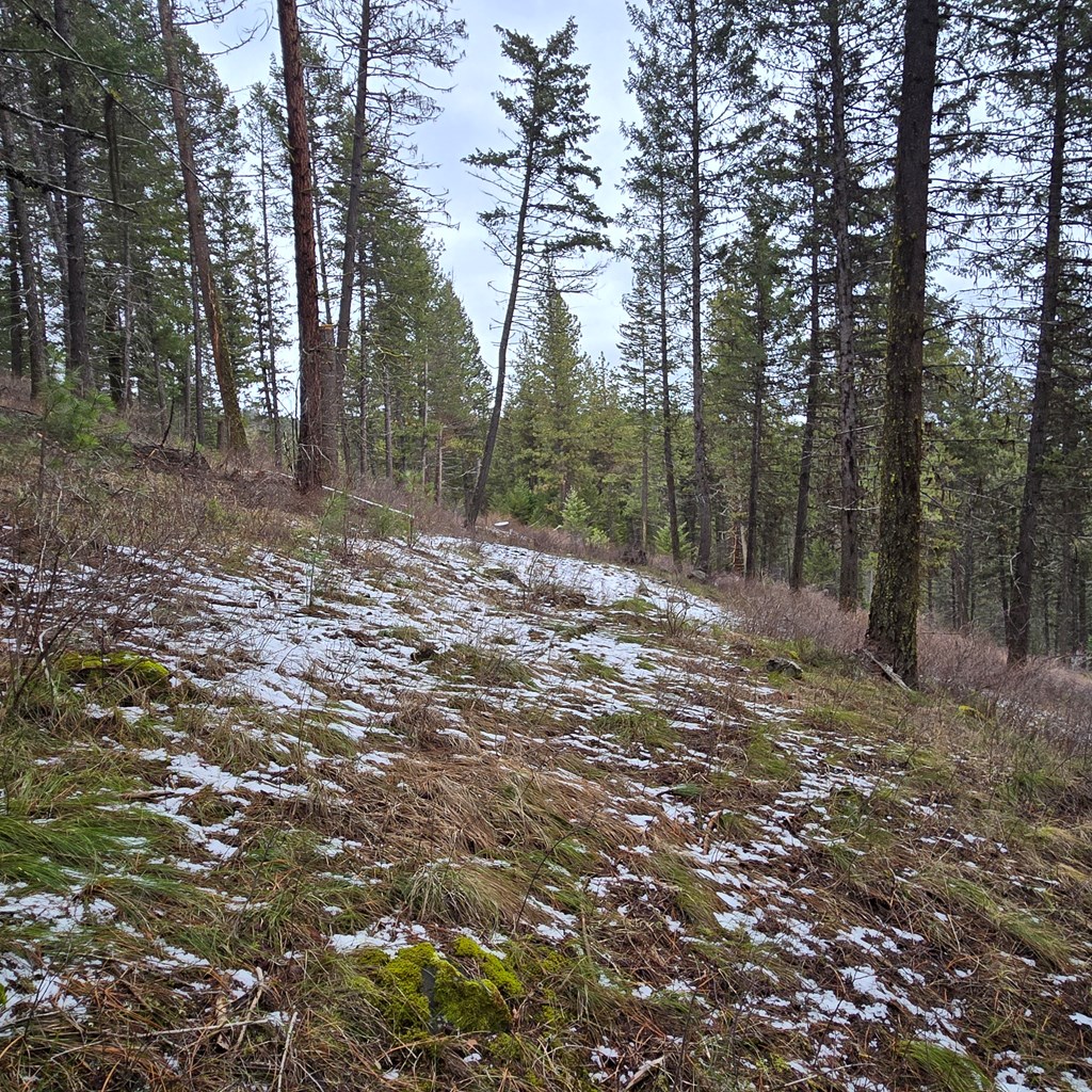 Tbd Granite View Road New Meadows, ID 83654 - Photo 3 of 9