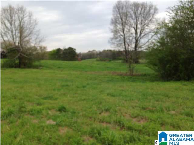 3553 Boat Landing Road Oneonta, AL 35121 - Photo 6 of 27