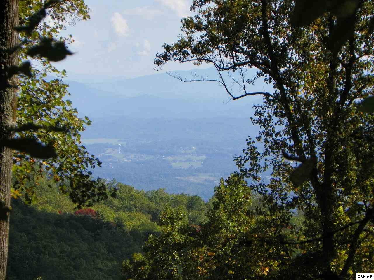 25402538 Bluff Mountain Road Sevierville, TN 37876 - Photo 1 of 2 Gallery Image 1
