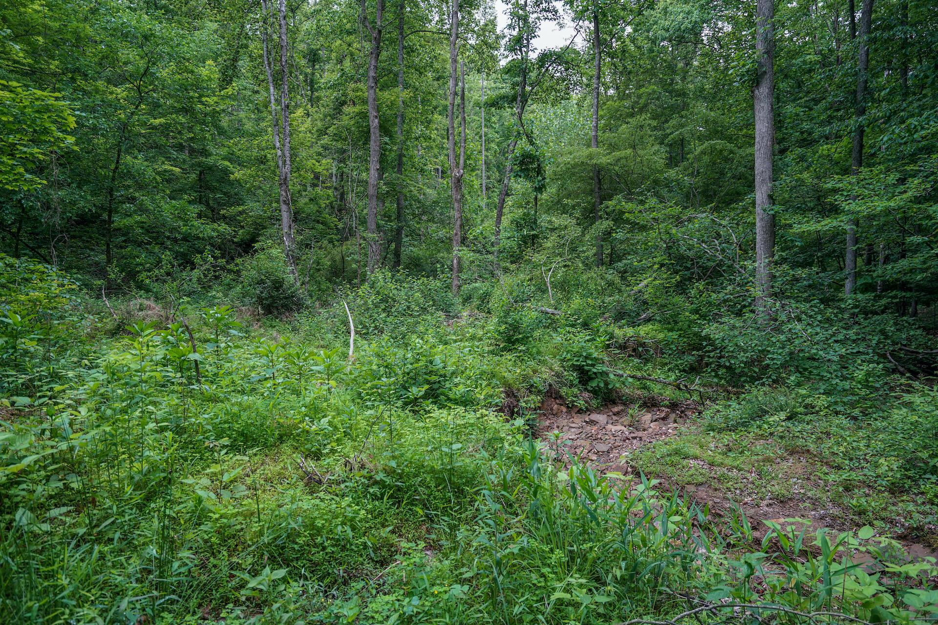 35051 Fairview Road Ray, OH 45672 - Photo 20 of 28
