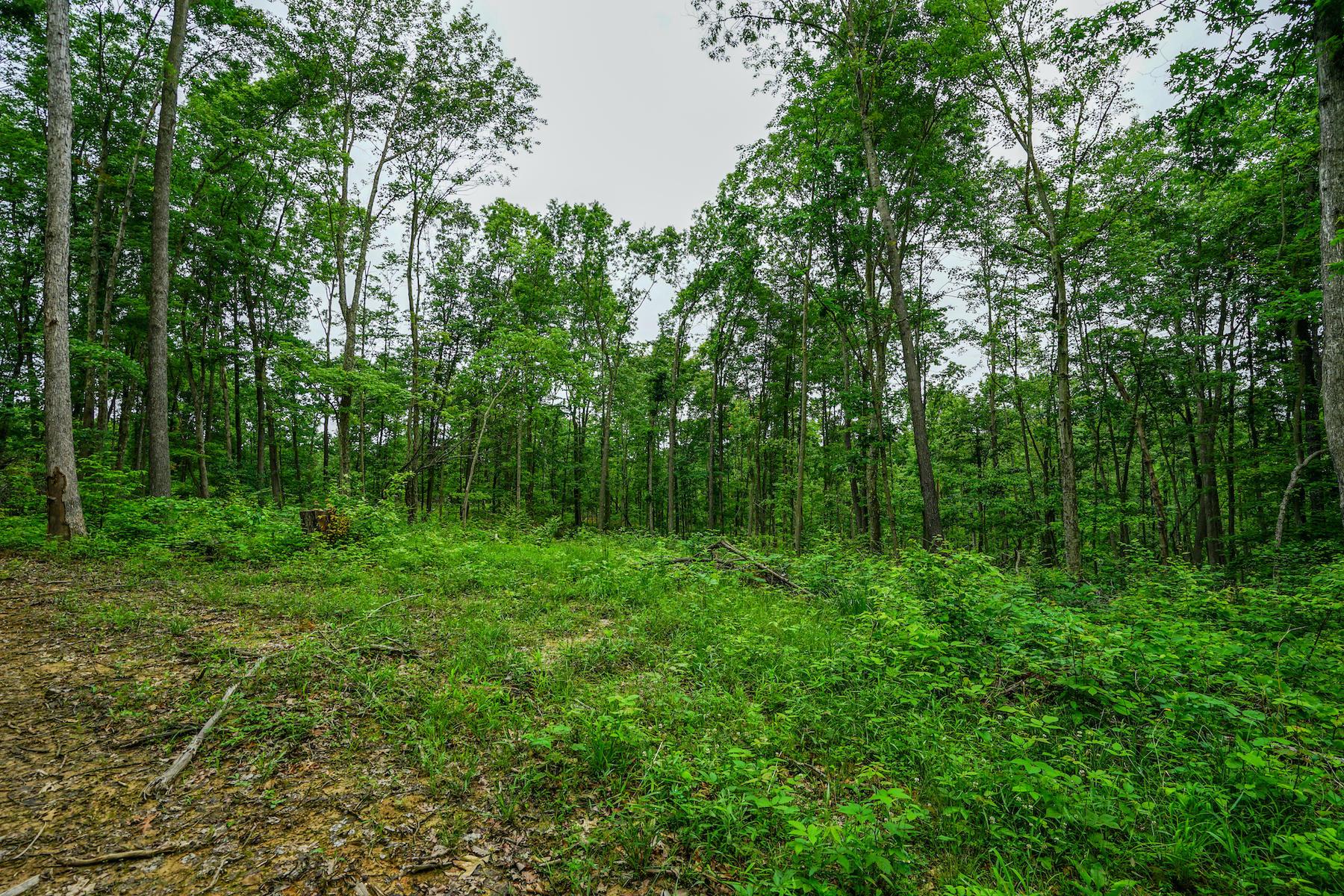 35051 Fairview Road Ray, OH 45672 - Photo 26 of 28