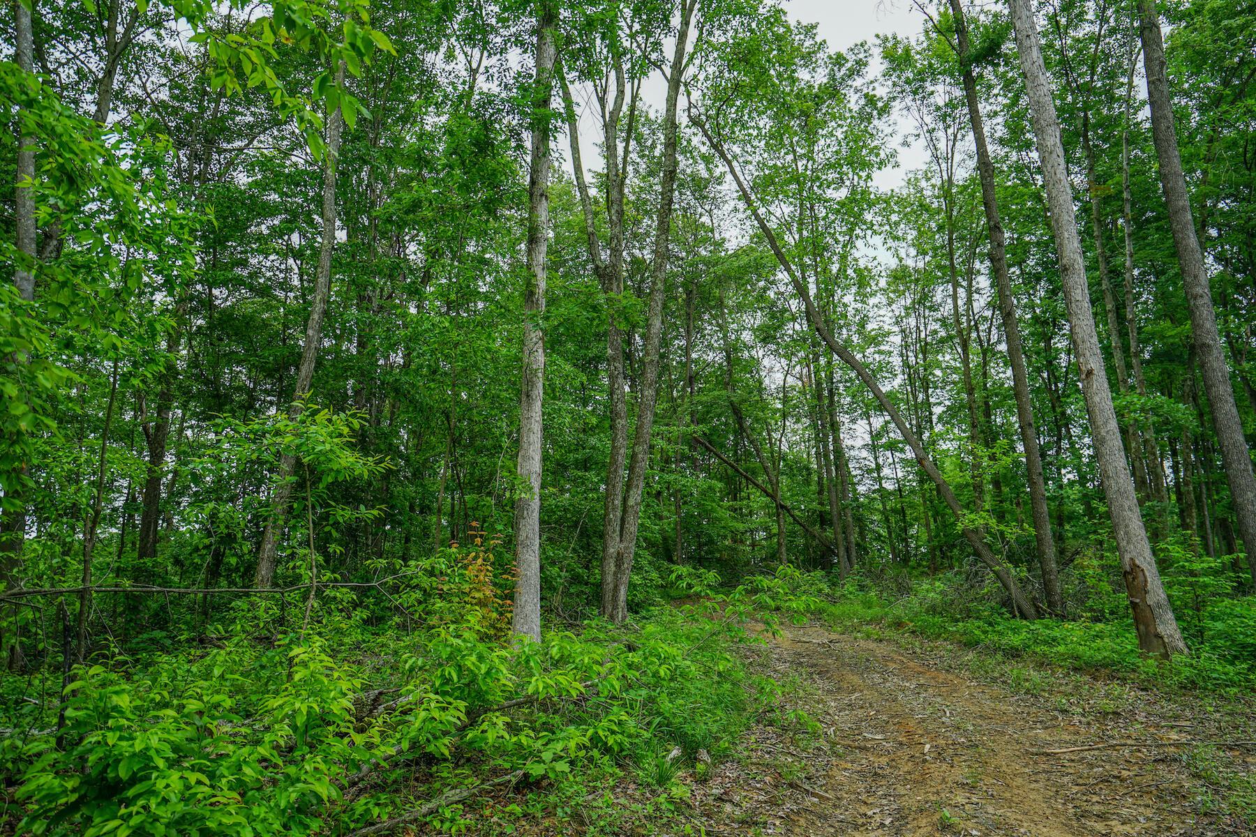 35051 Fairview Road Ray, OH 45672 - Photo 27 of 28