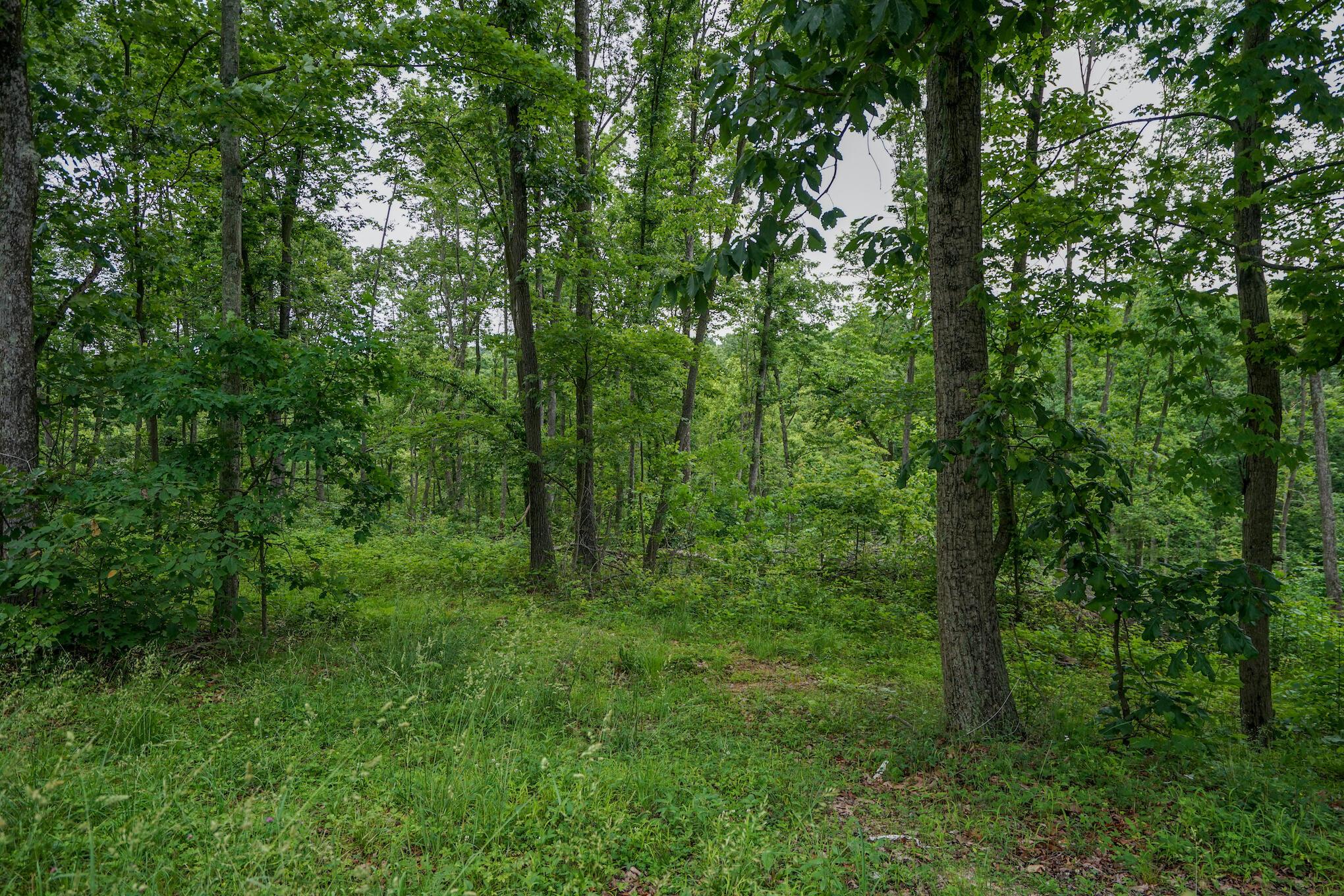 35051 Fairview Road Ray, OH 45672 - Photo 8 of 28