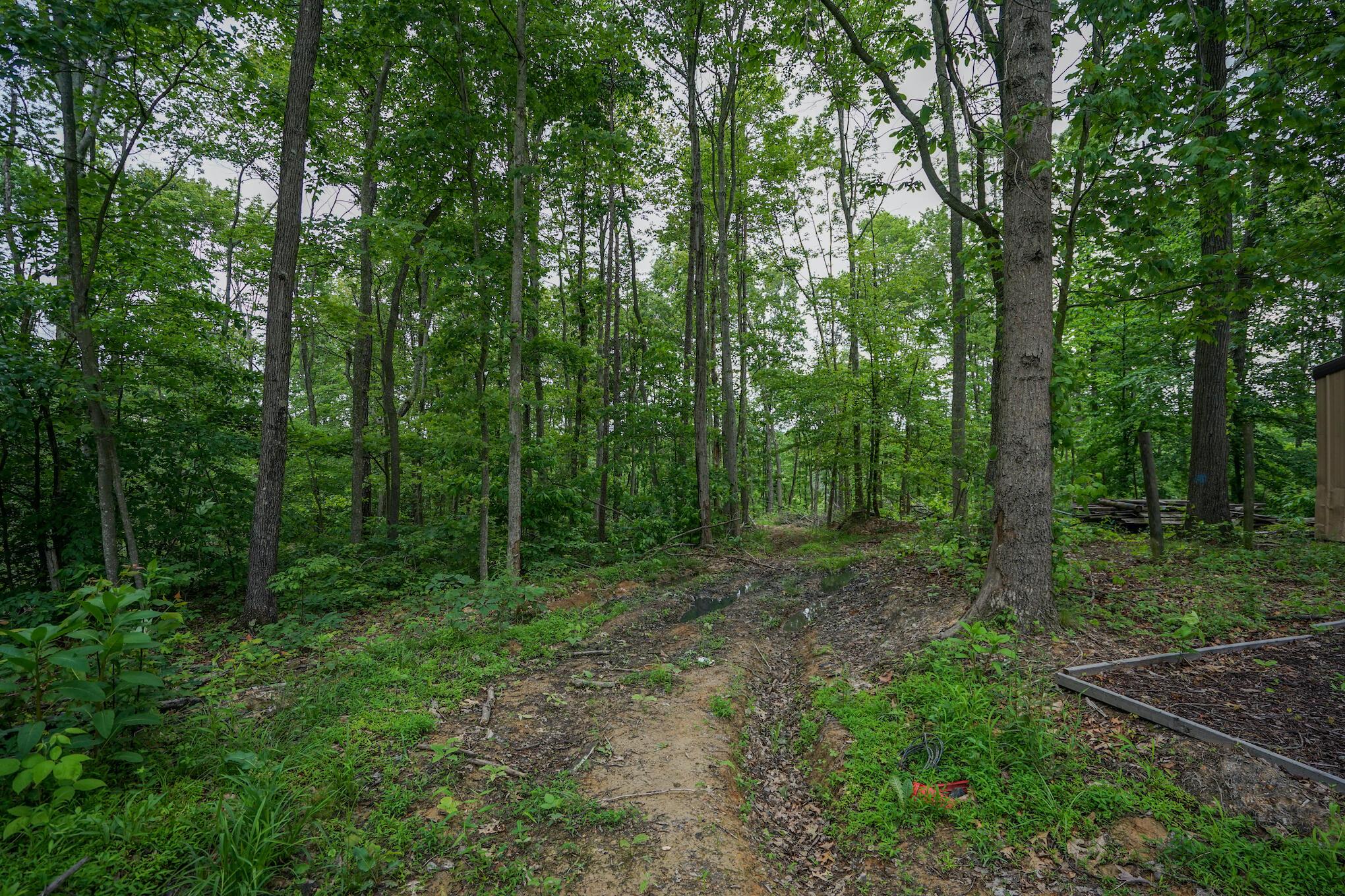 35051 Fairview Road Ray, OH 45672 - Photo 10 of 28