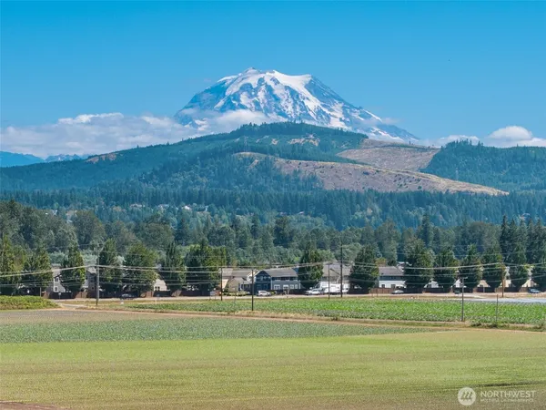 $7,000,000 | 18307 150th Avenue East, Orting, WA 98360