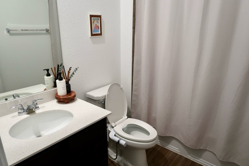 113 Blue Blaze Trail Georgetown, TX 78628 - Photo 11 of 20