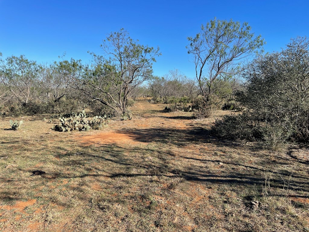 1 North Durst Road Mason, TX 76856 - Photo 8 of 12 Gallery Image 8