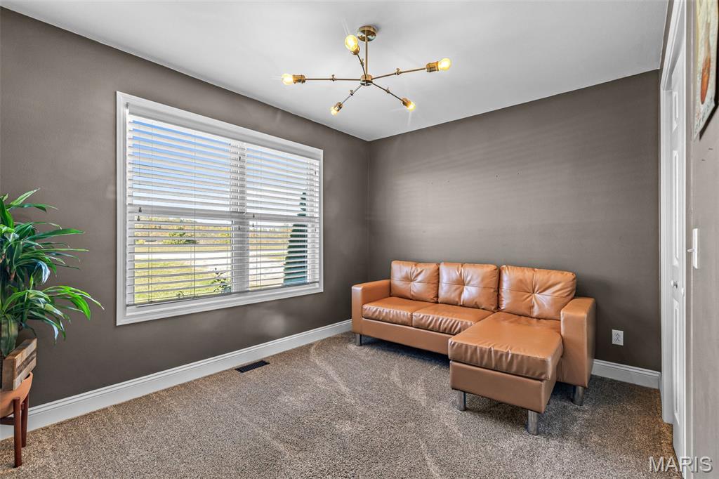 1037 Madison 207 Fredericktown, MO 63645 - Photo 23 of 51