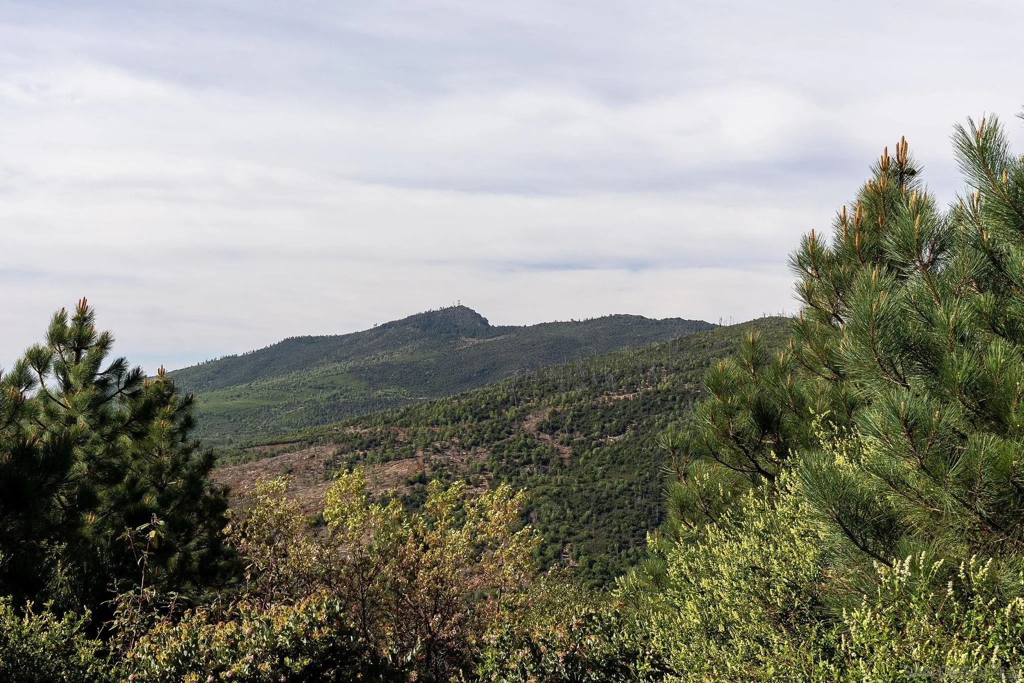 15962 North Peak Road, Unit 39 Julian, CA 92036 - Photo 16 of 16 an aerial view of houses covered in trees