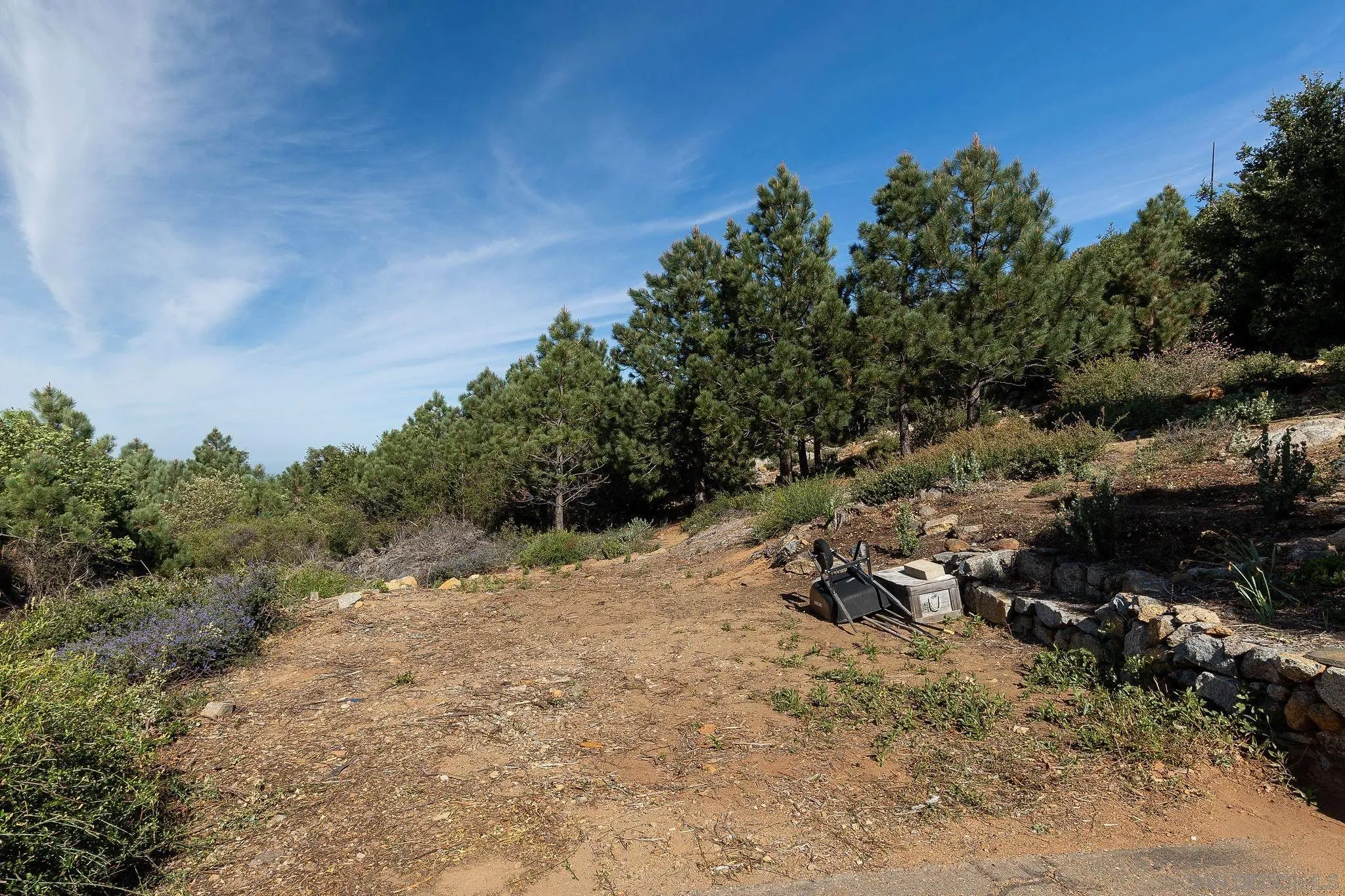 15962 North Peak Road, Unit 39 Julian, CA 92036 - Photo 5 of 16 a view of a yard with a tree