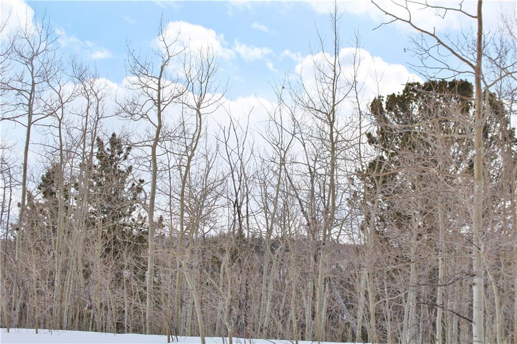 64 Rhea Road Como, CO 80432 - Photo 1 of 16 Gallery Image 1