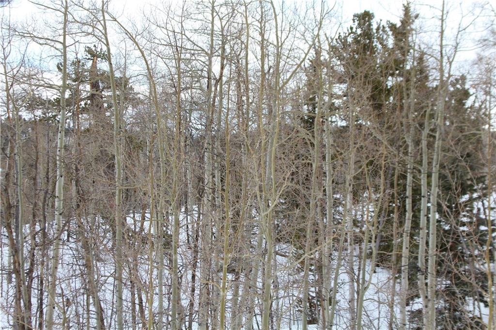 64 Rhea Road Como, CO 80432 - Photo 2 of 16 Gallery Image 2