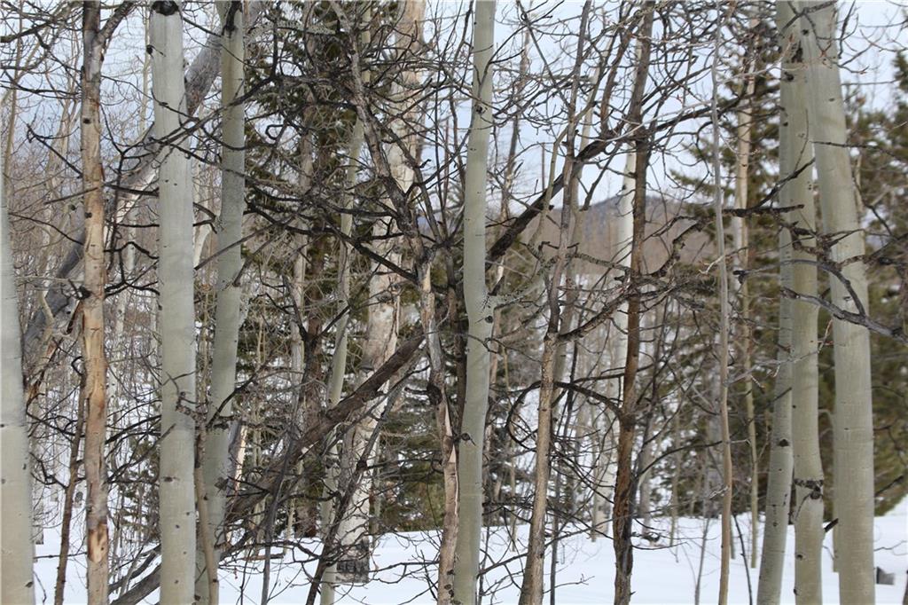 64 Rhea Road Como, CO 80432 - Photo 4 of 16 Gallery Image 4
