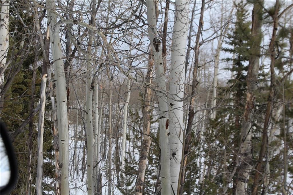 64 Rhea Road Como, CO 80432 - Photo 5 of 16 Gallery Image 5