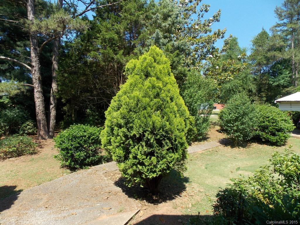 1882 New Cut Church Road Lancaster, SC 29720 - Photo 20 of 21 a view of a garden with large trees