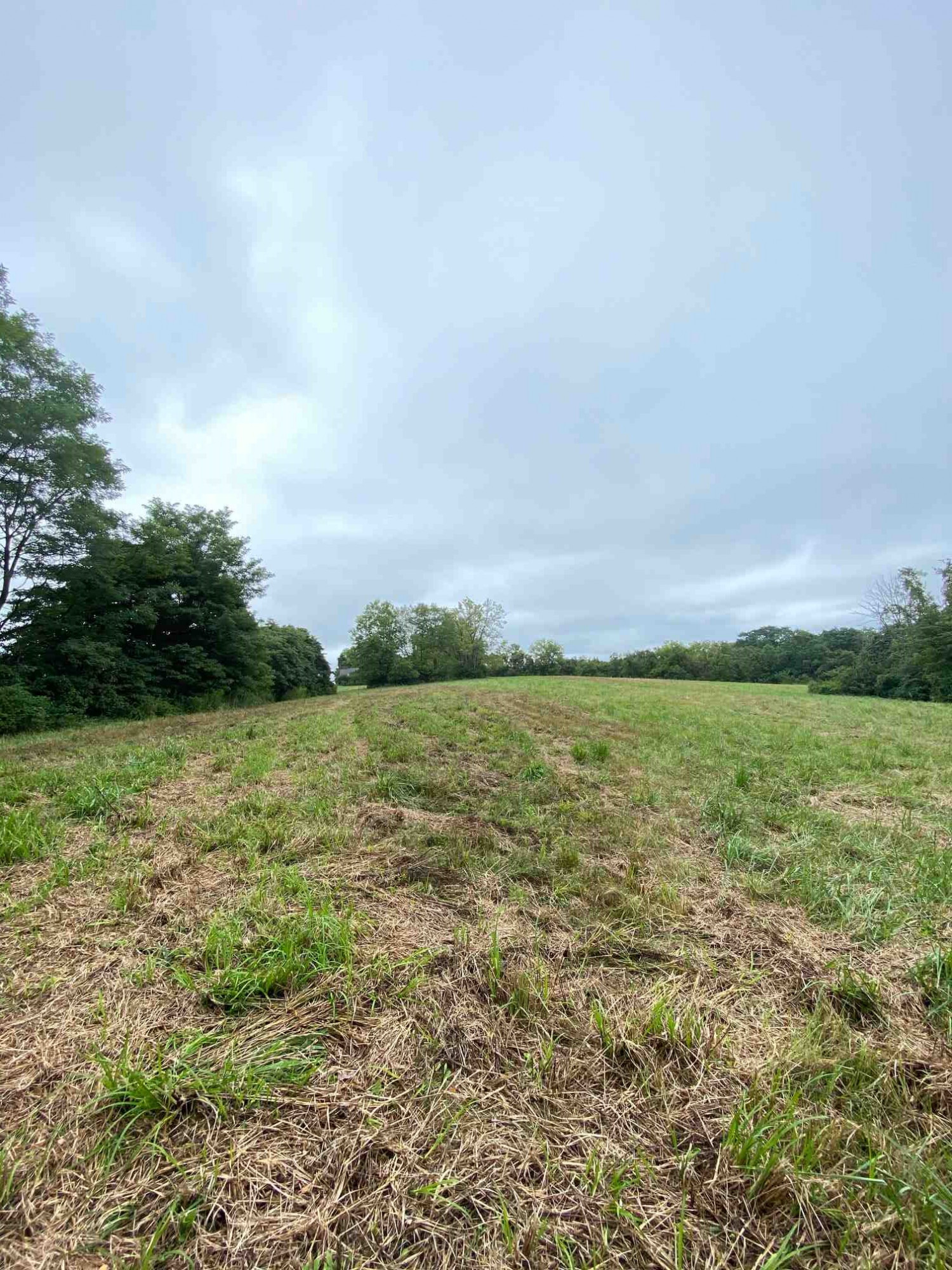 3 Baton Rouge Road Williamstown, KY 41097 - Photo 23 of 25