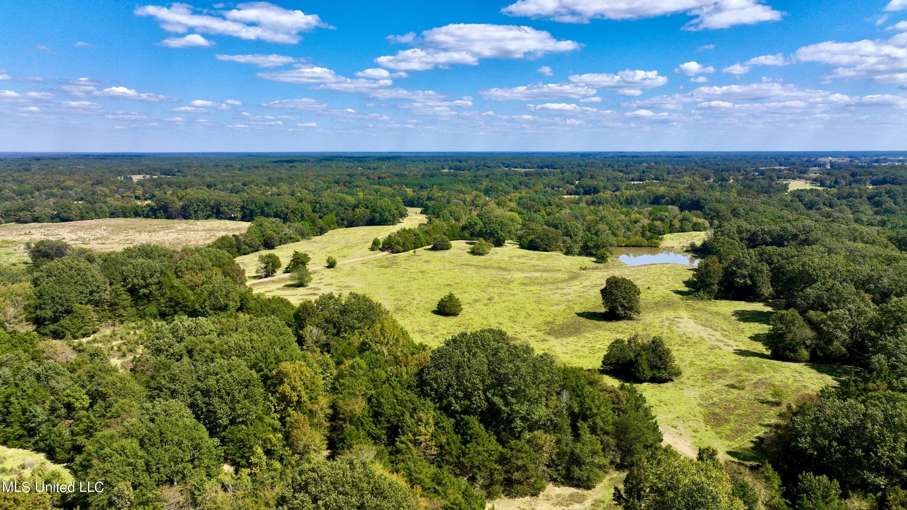2 Livingston Vernon Road Flora, MS 39071 - Photo 11 of 71 dji_fly_20221005_133746_469_166499836618
