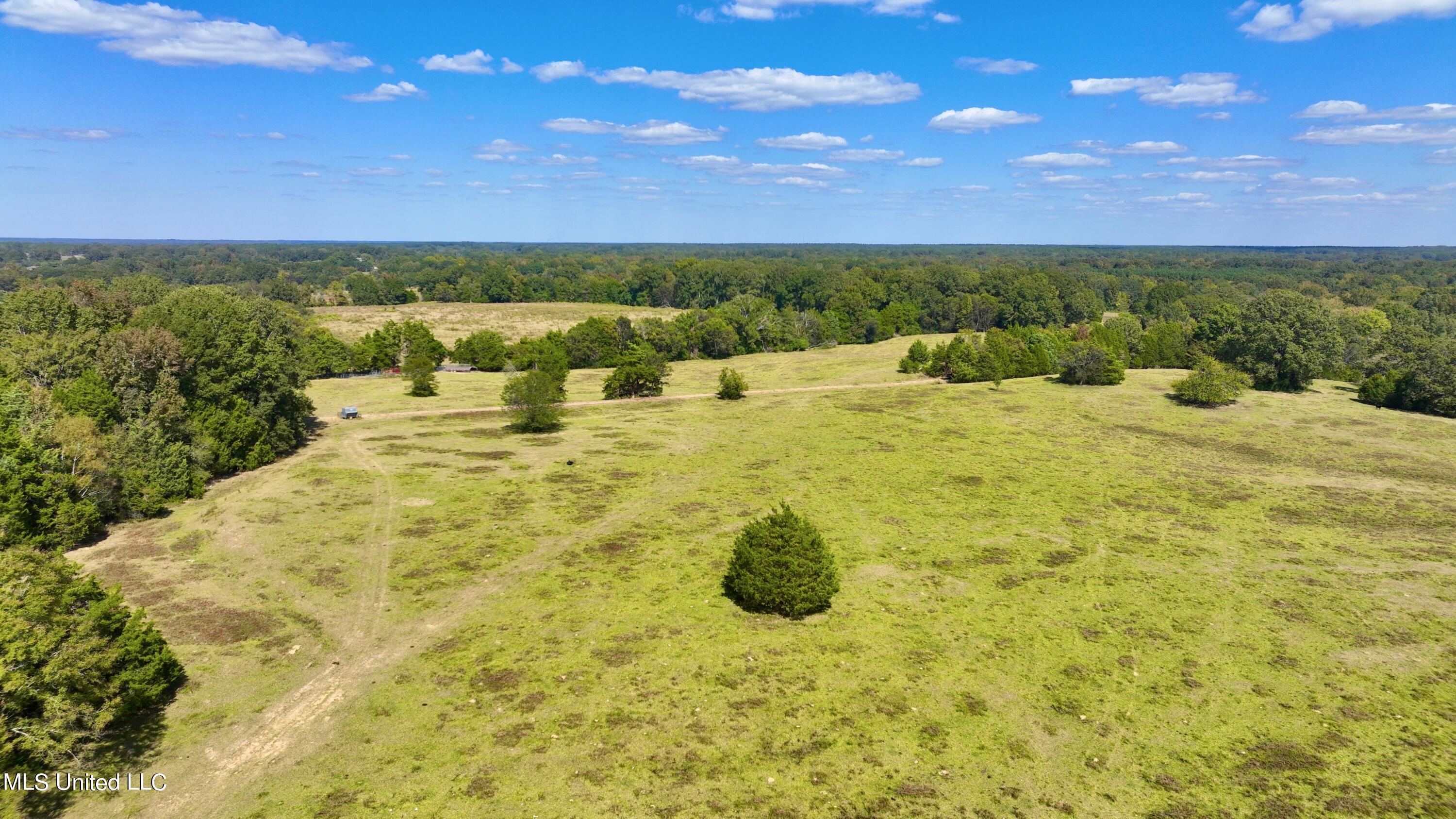 2 Livingston Vernon Road Flora, MS 39071 - Photo 13 of 71 dji_fly_20221005_141712_529_166499821615