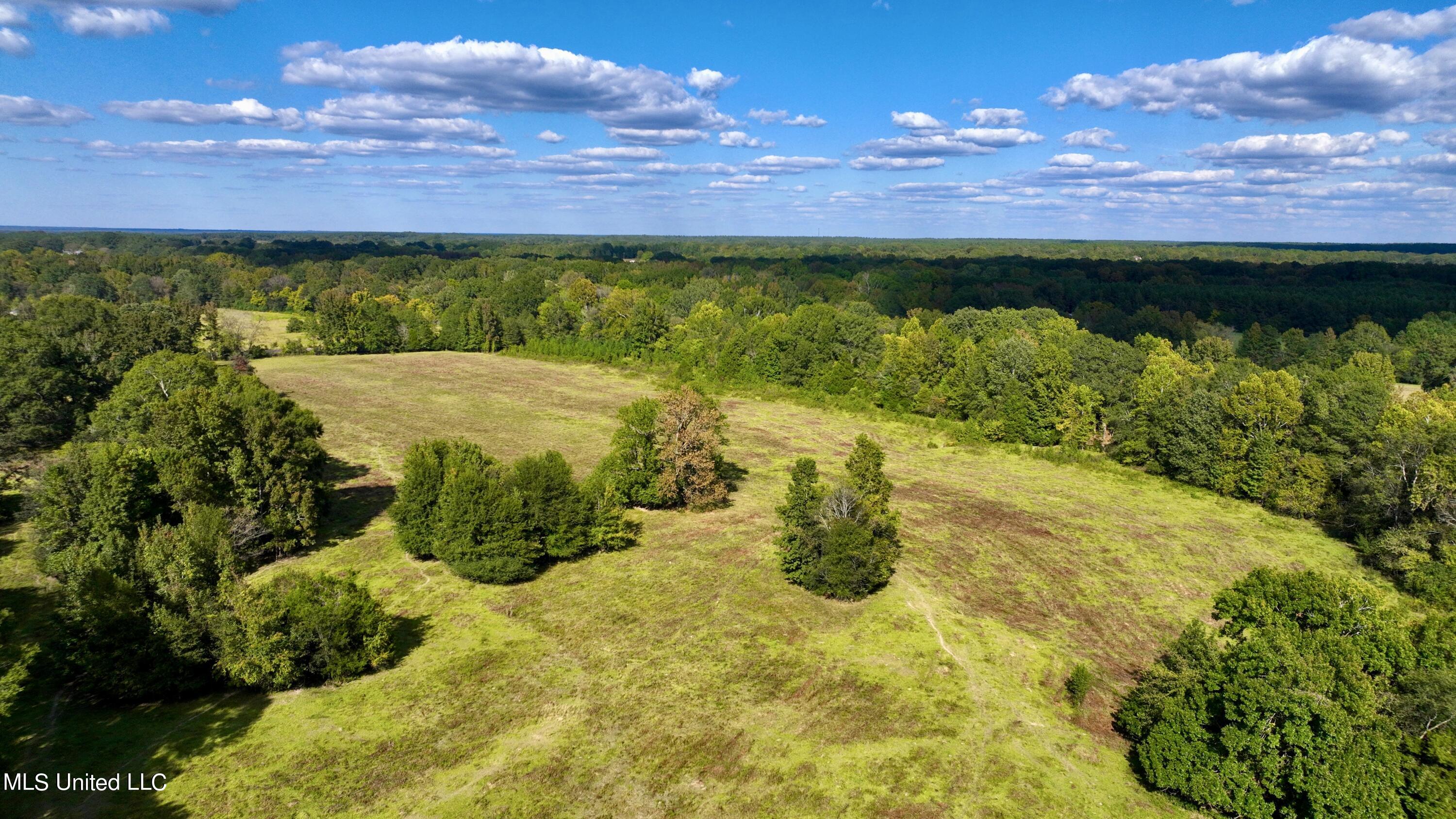 2 Livingston Vernon Road Flora, MS 39071 - Photo 17 of 71 dji_fly_20221004_153912_429_166499848183