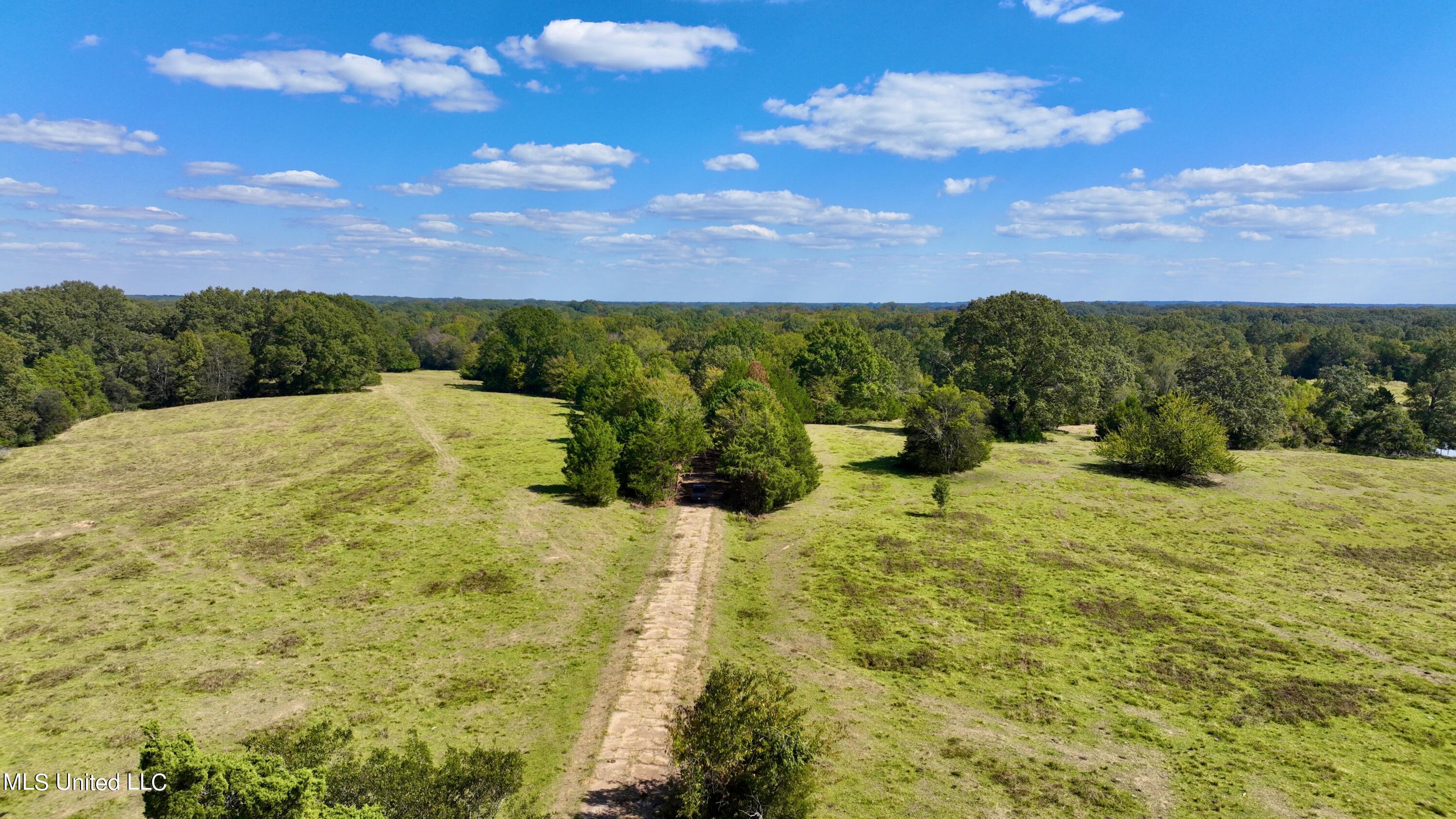 2 Livingston Vernon Road Flora, MS 39071 - Photo 23 of 71 dji_fly_20221005_141922_536_166499820970