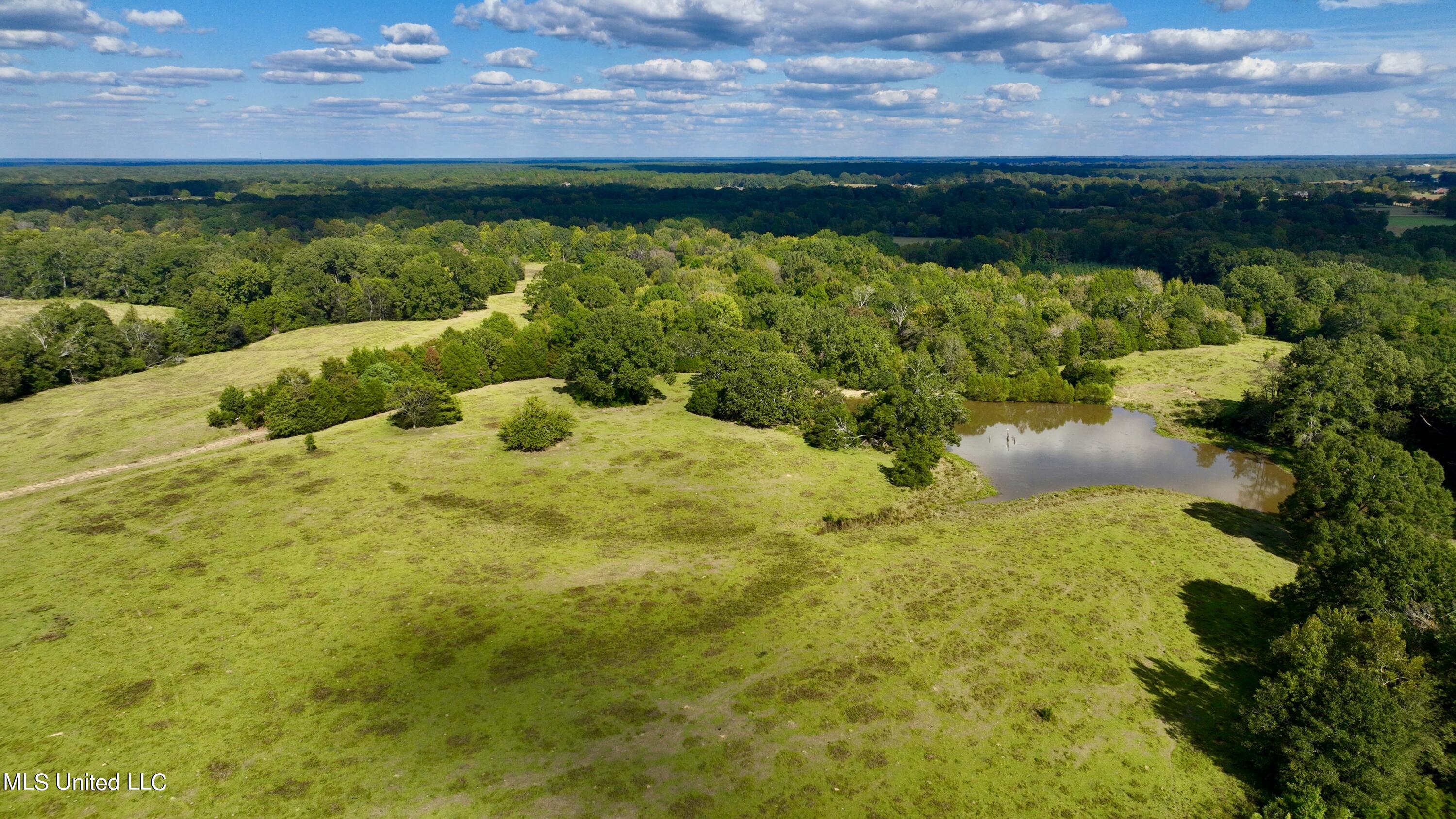 2 Livingston Vernon Road Flora, MS 39071 - Photo 24 of 71 dji_fly_20221004_153740_421_166499857901