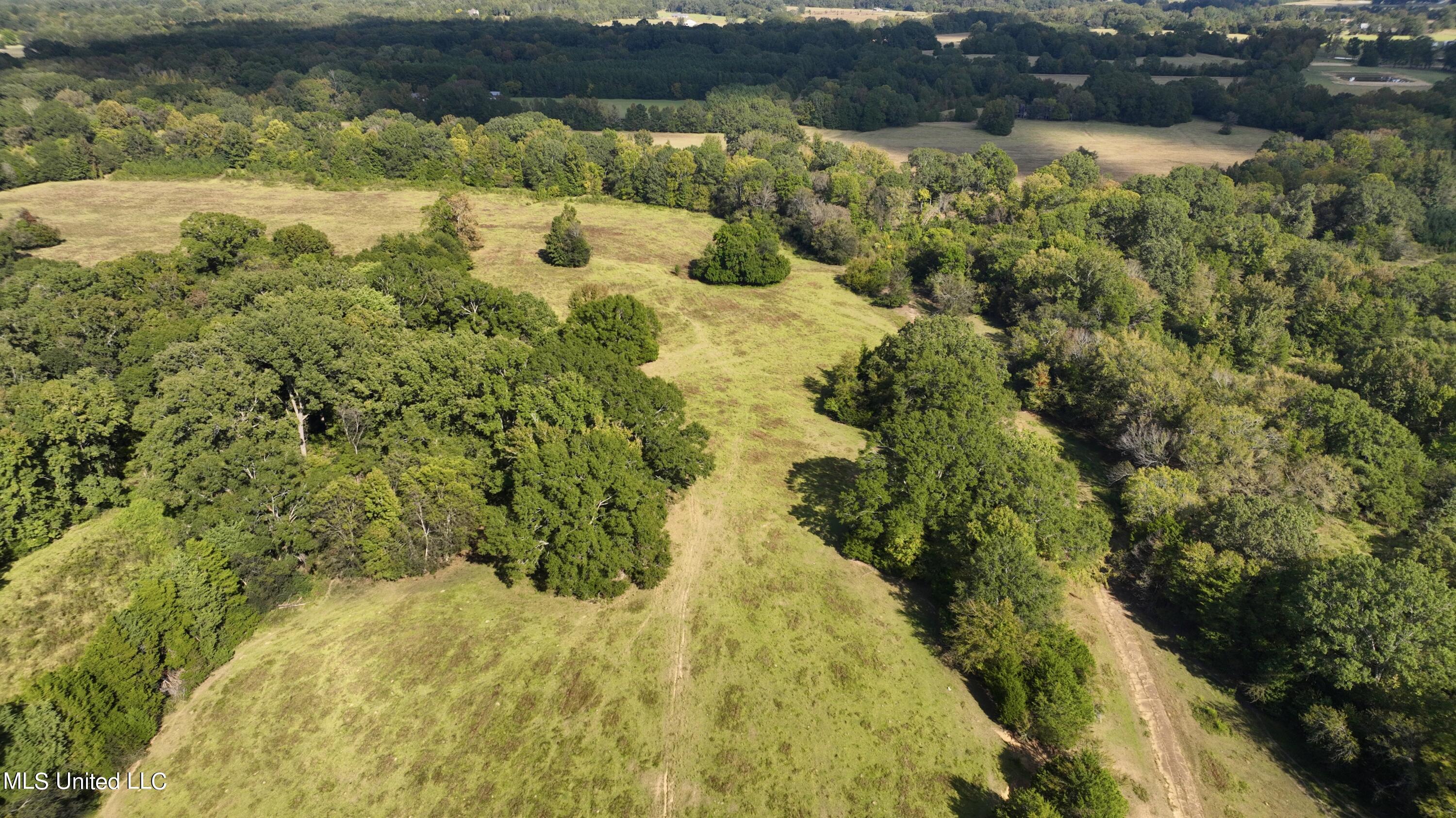 2 Livingston Vernon Road Flora, MS 39071 - Photo 25 of 71 dji_fly_20221004_153842_427_166499856930