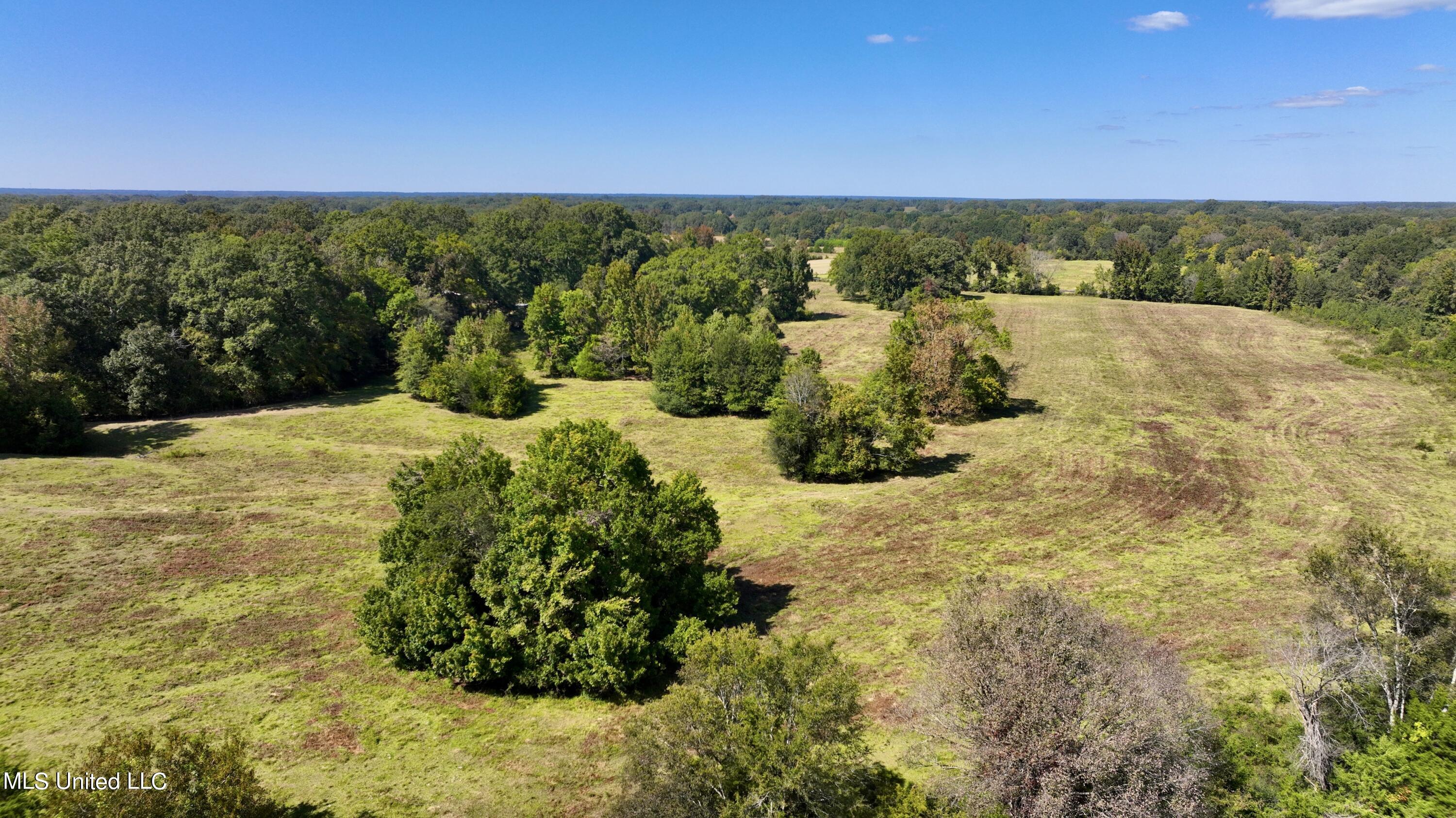 2 Livingston Vernon Road Flora, MS 39071 - Photo 26 of 71 dji_fly_20221005_141006_511_166499826884