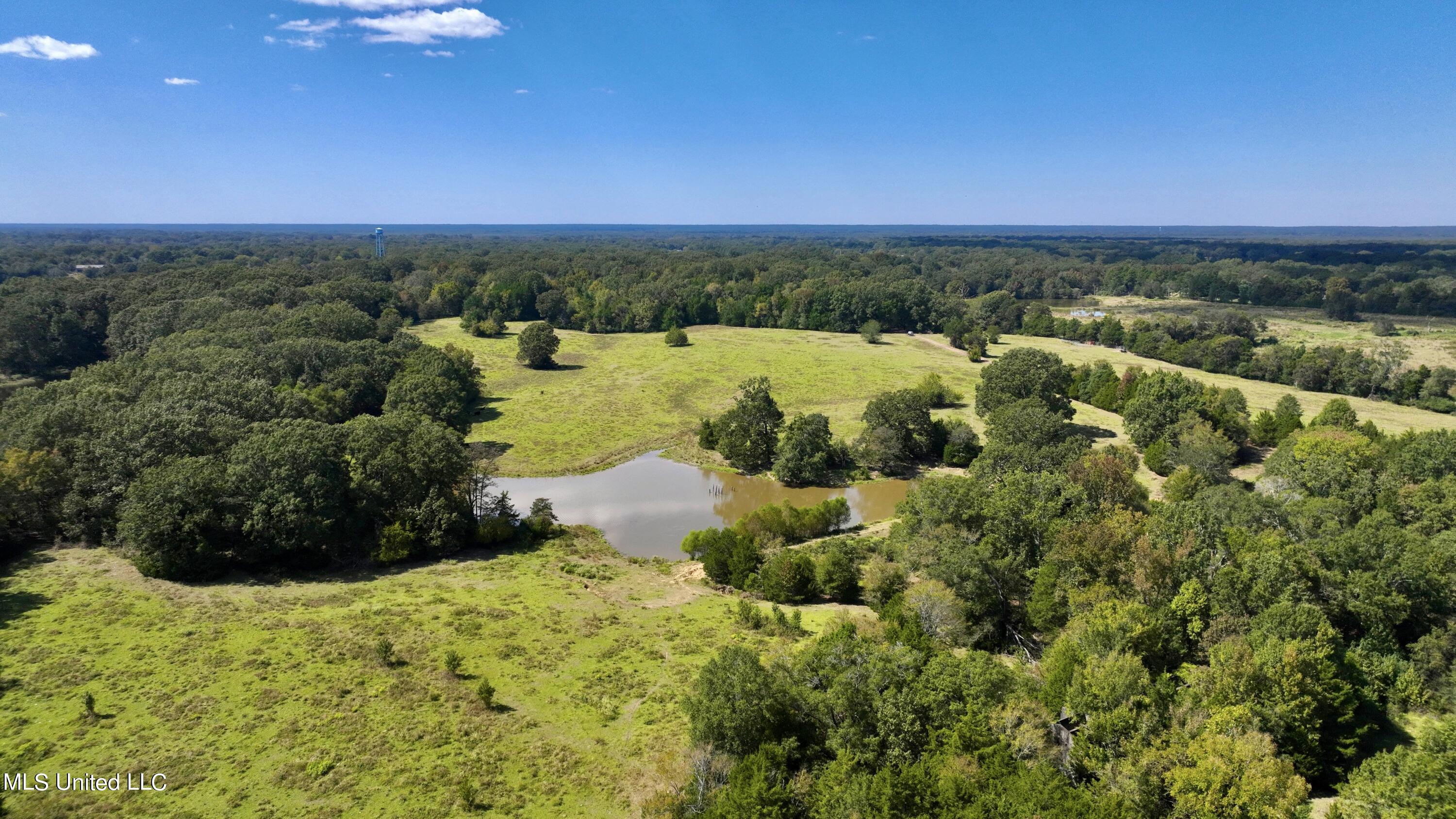2 Livingston Vernon Road Flora, MS 39071 - Photo 30 of 71 dji_fly_20221005_133356_458_166499842612