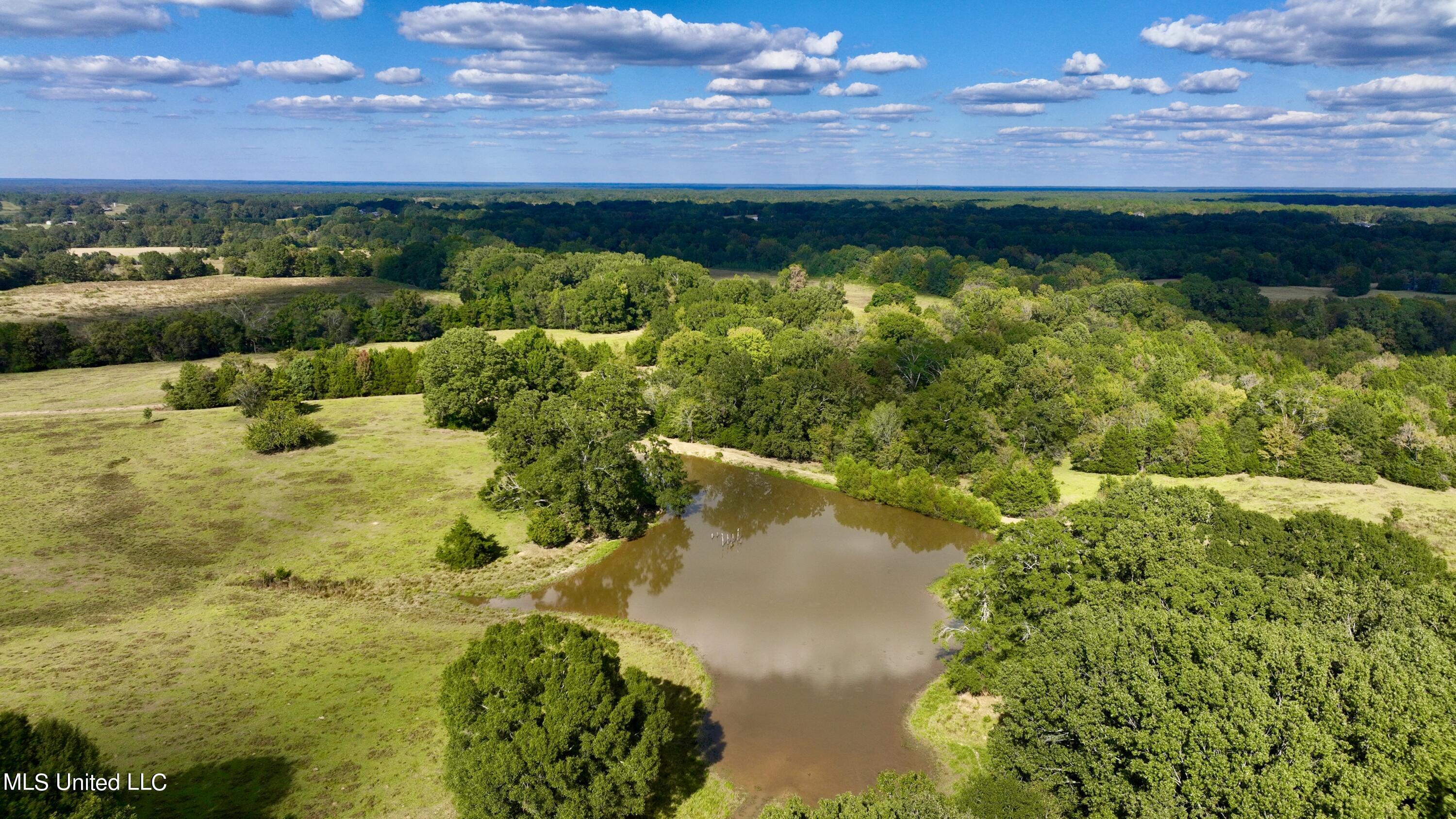 2 Livingston Vernon Road Flora, MS 39071 - Photo 3 of 71 dji_fly_20221004_153346_409_166499860016