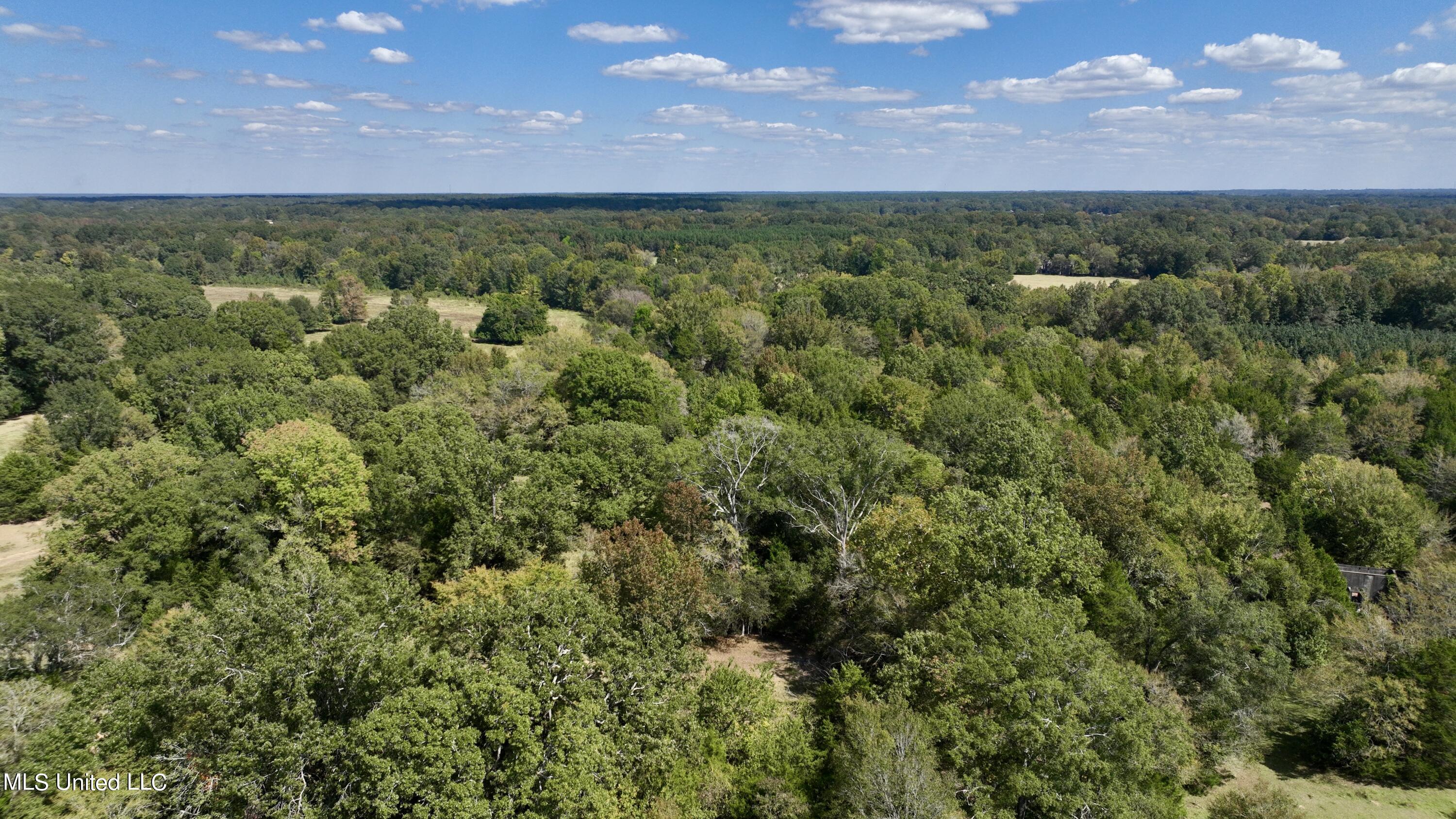 2 Livingston Vernon Road Flora, MS 39071 - Photo 35 of 71 dji_fly_20221005_132916_453_166499844703