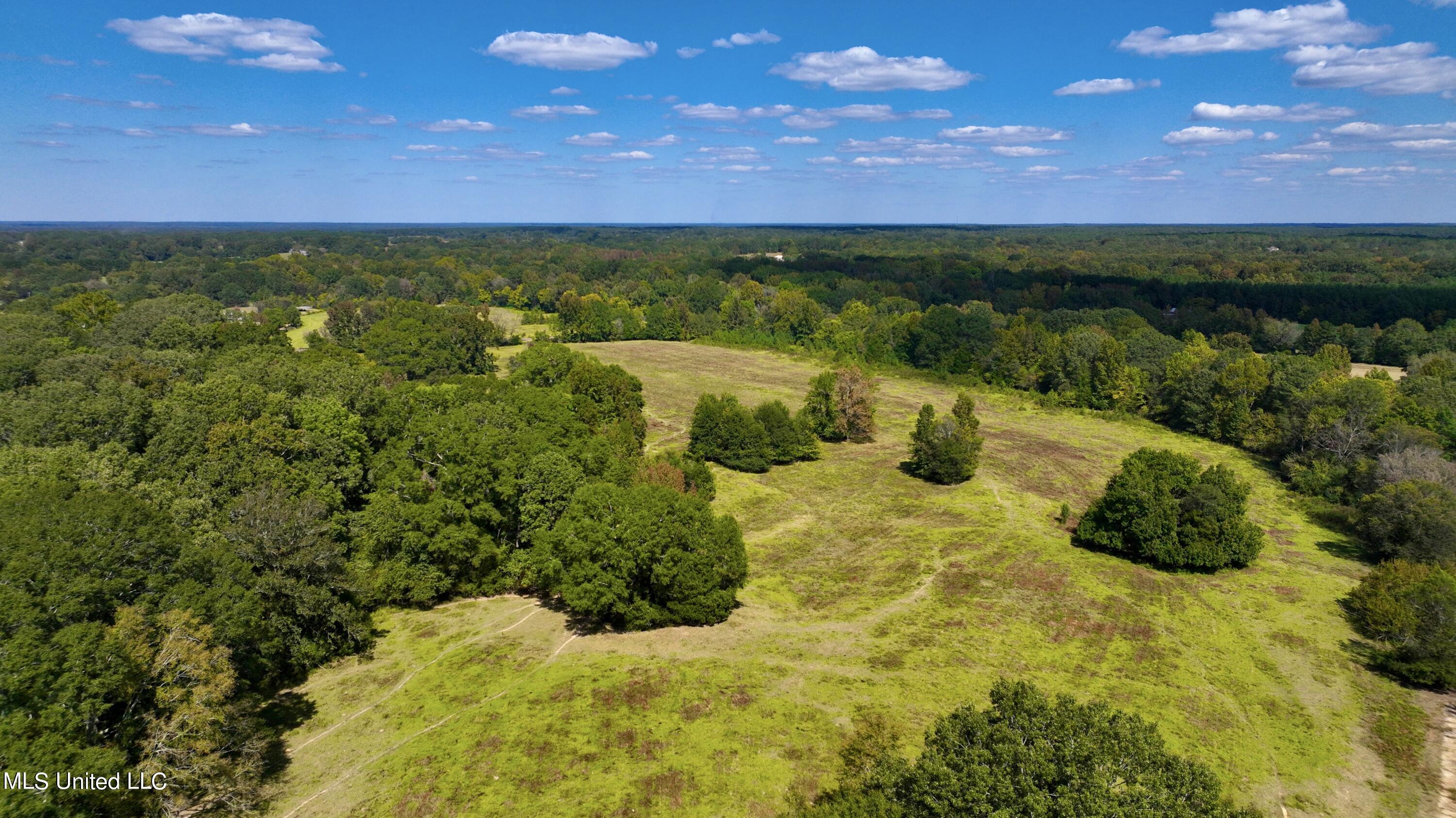 2 Livingston Vernon Road Flora, MS 39071 - Photo 36 of 71 dji_fly_20221005_135854_494_166499830311