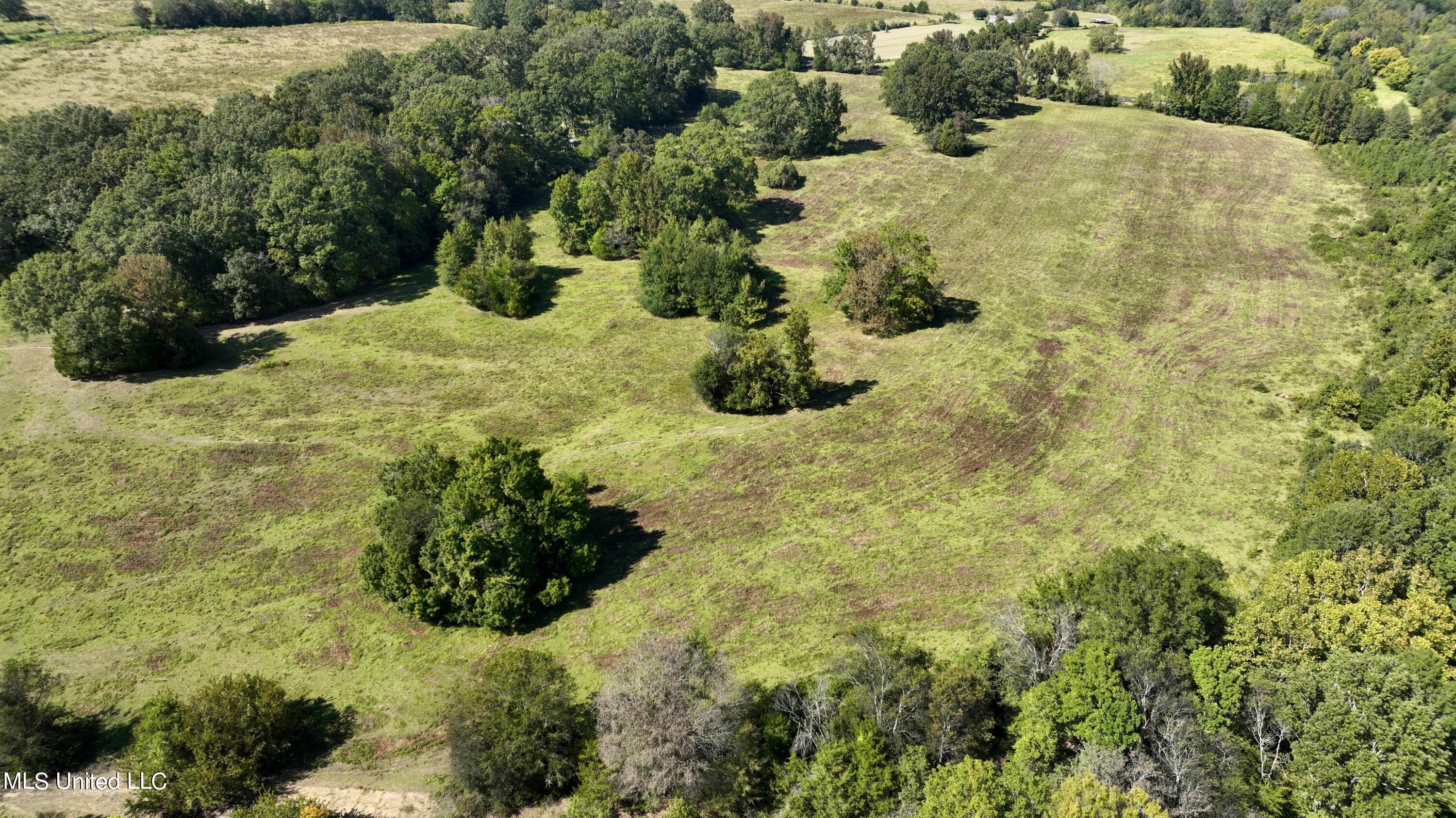 2 Livingston Vernon Road Flora, MS 39071 - Photo 4 of 71 dji_fly_20221005_142238_541_166499819744