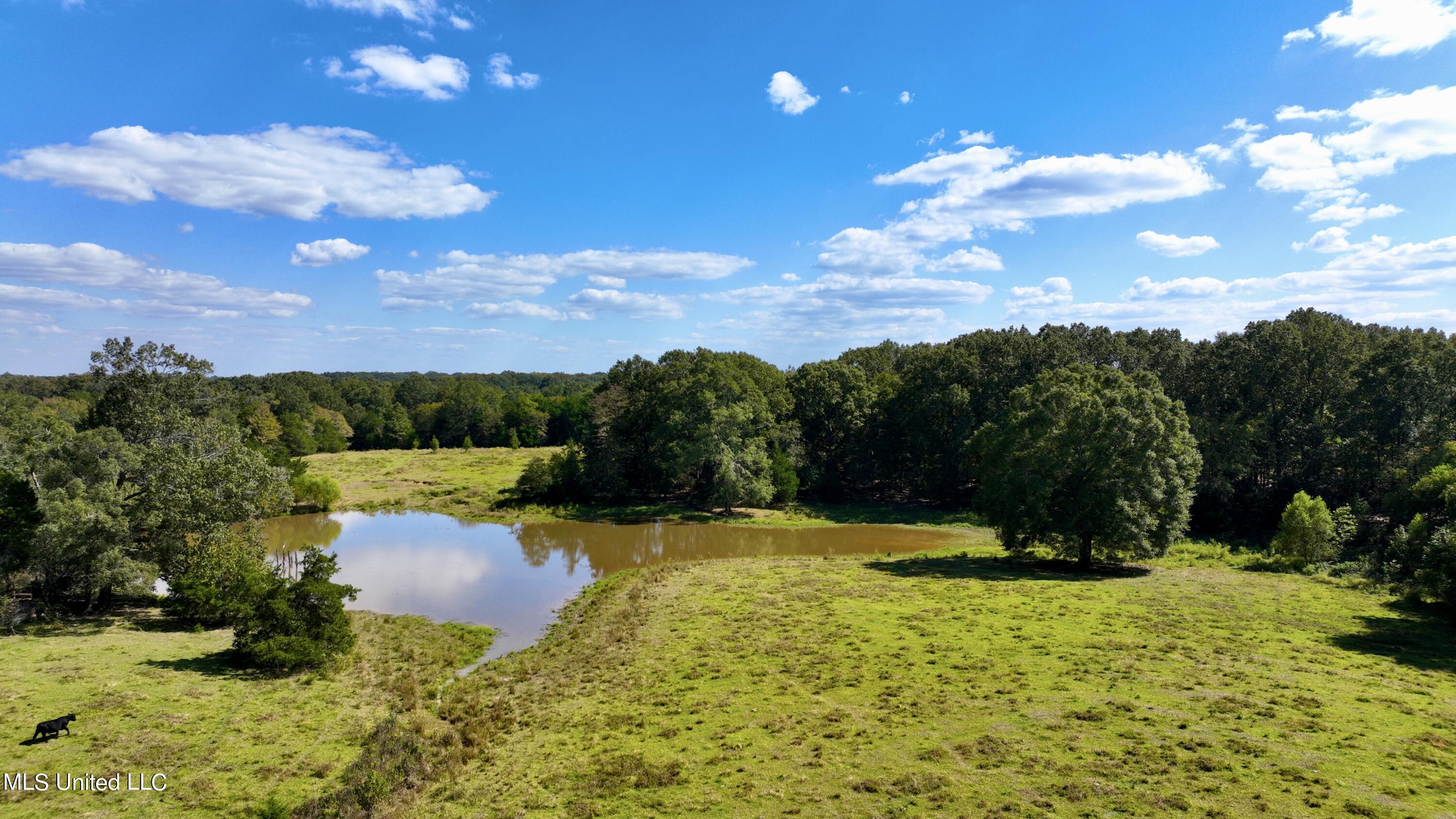 2 Livingston Vernon Road Flora, MS 39071 - Photo 45 of 71 dji_fly_20221005_141532_525_166499822745