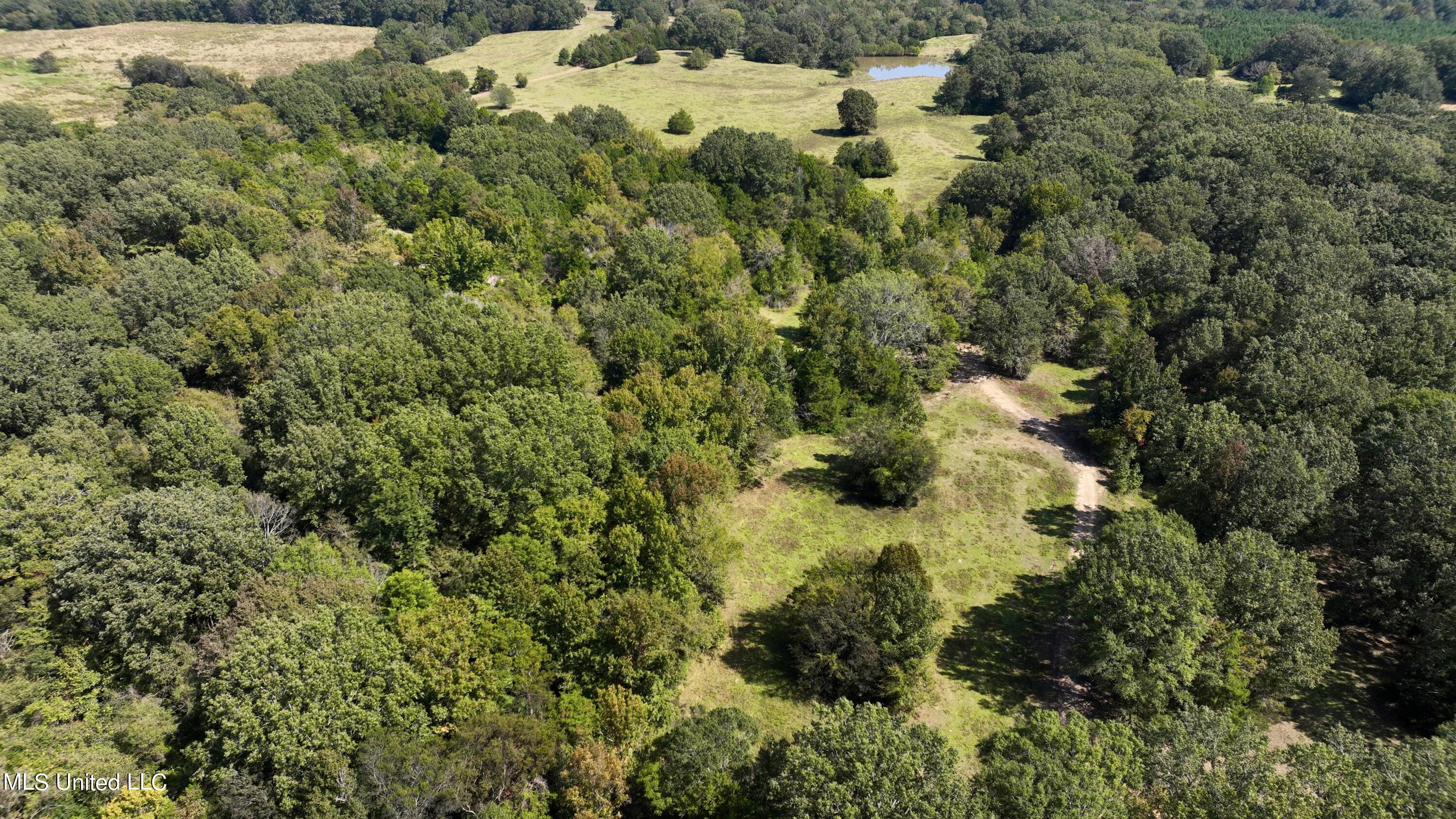 2 Livingston Vernon Road Flora, MS 39071 - Photo 46 of 71 dji_fly_20221005_133814_470_166499836354