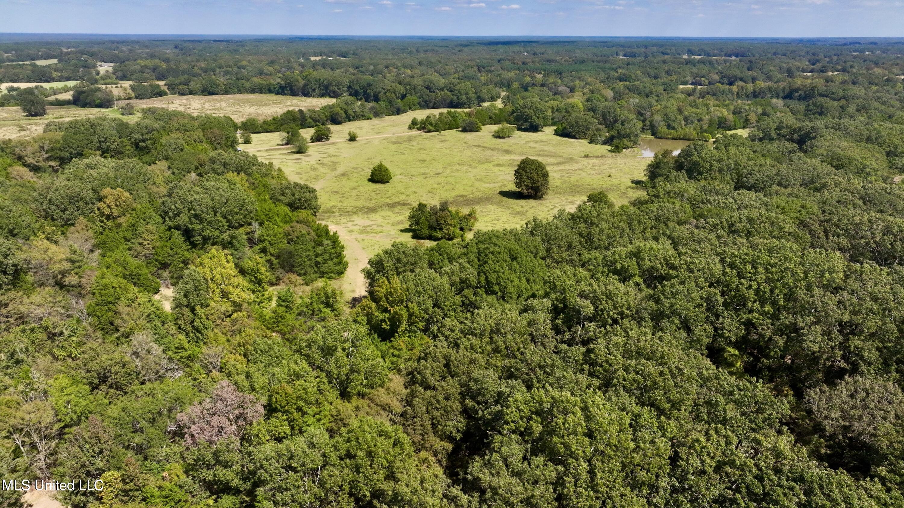 2 Livingston Vernon Road Flora, MS 39071 - Photo 53 of 71 dji_fly_20221005_133654_466_166499839284