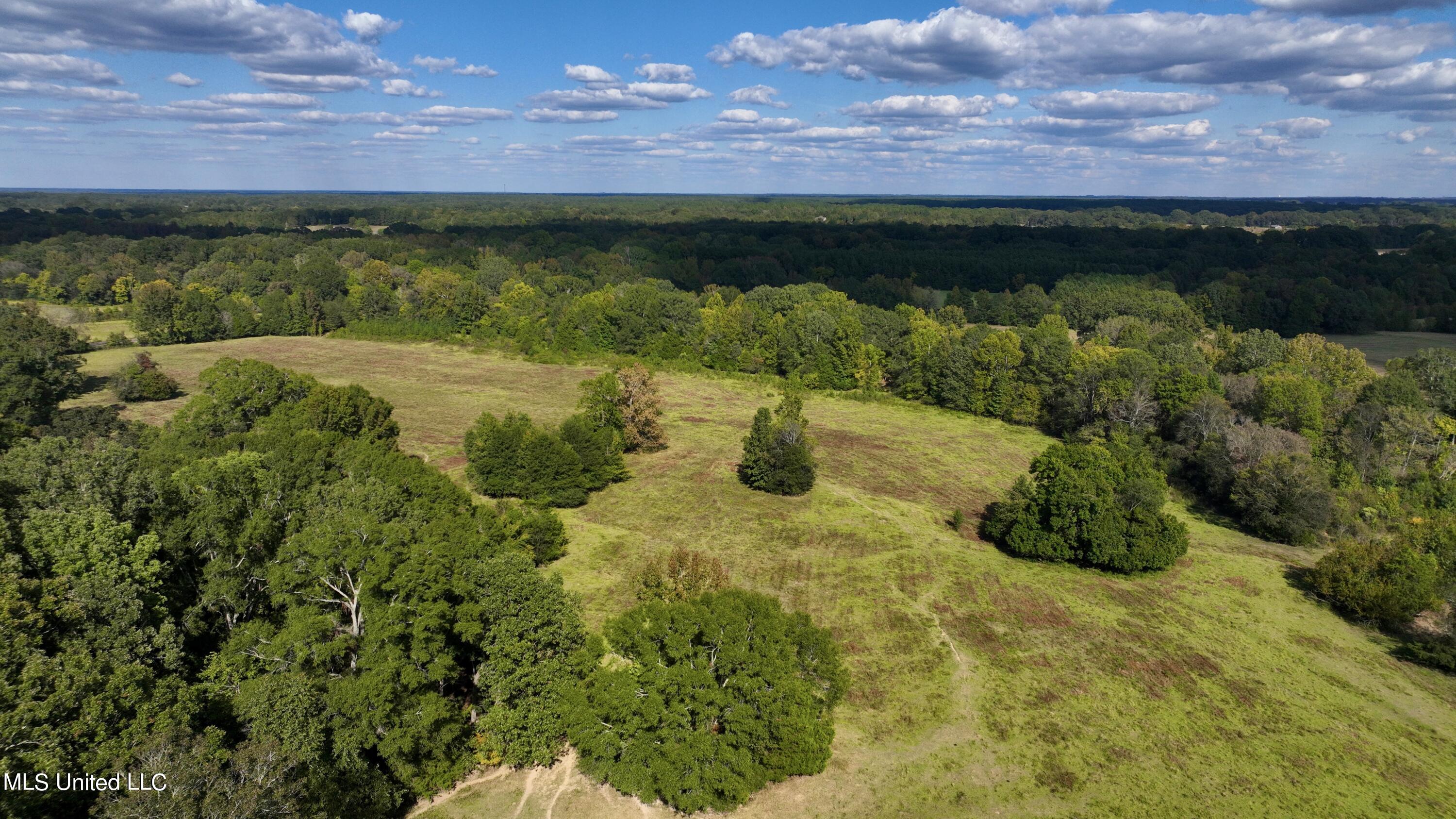2 Livingston Vernon Road Flora, MS 39071 - Photo 56 of 71 dji_fly_20221004_153858_428_166499857154