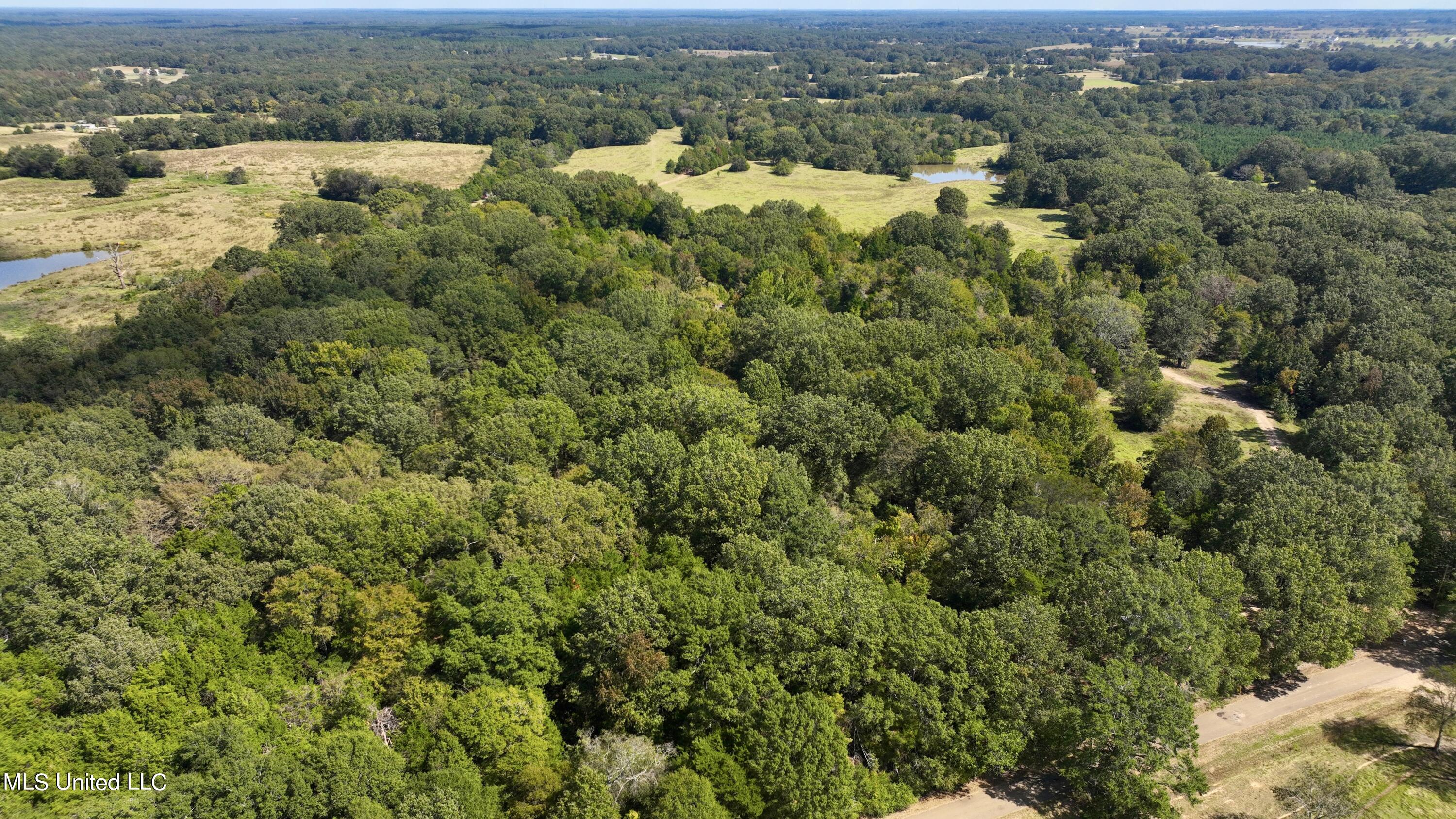 2 Livingston Vernon Road Flora, MS 39071 - Photo 58 of 71 dji_fly_20221005_133940_473_166499838044