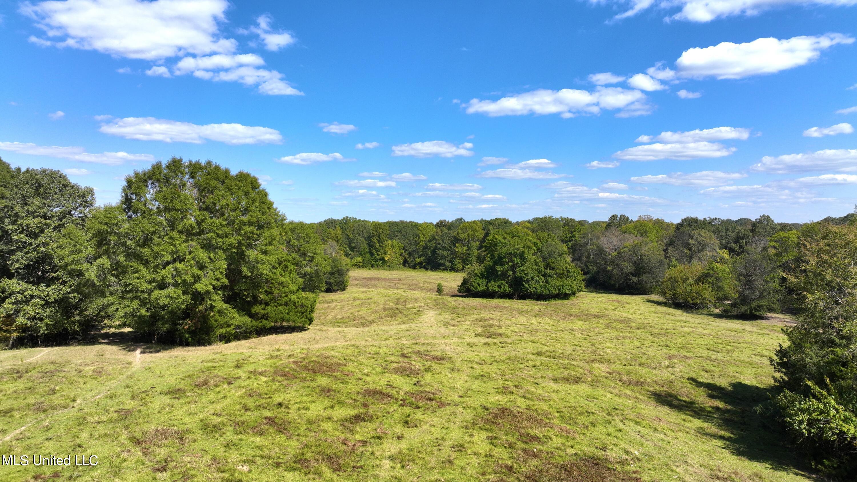 2 Livingston Vernon Road Flora, MS 39071 - Photo 67 of 71 dji_fly_20221005_142012_538_166499821401