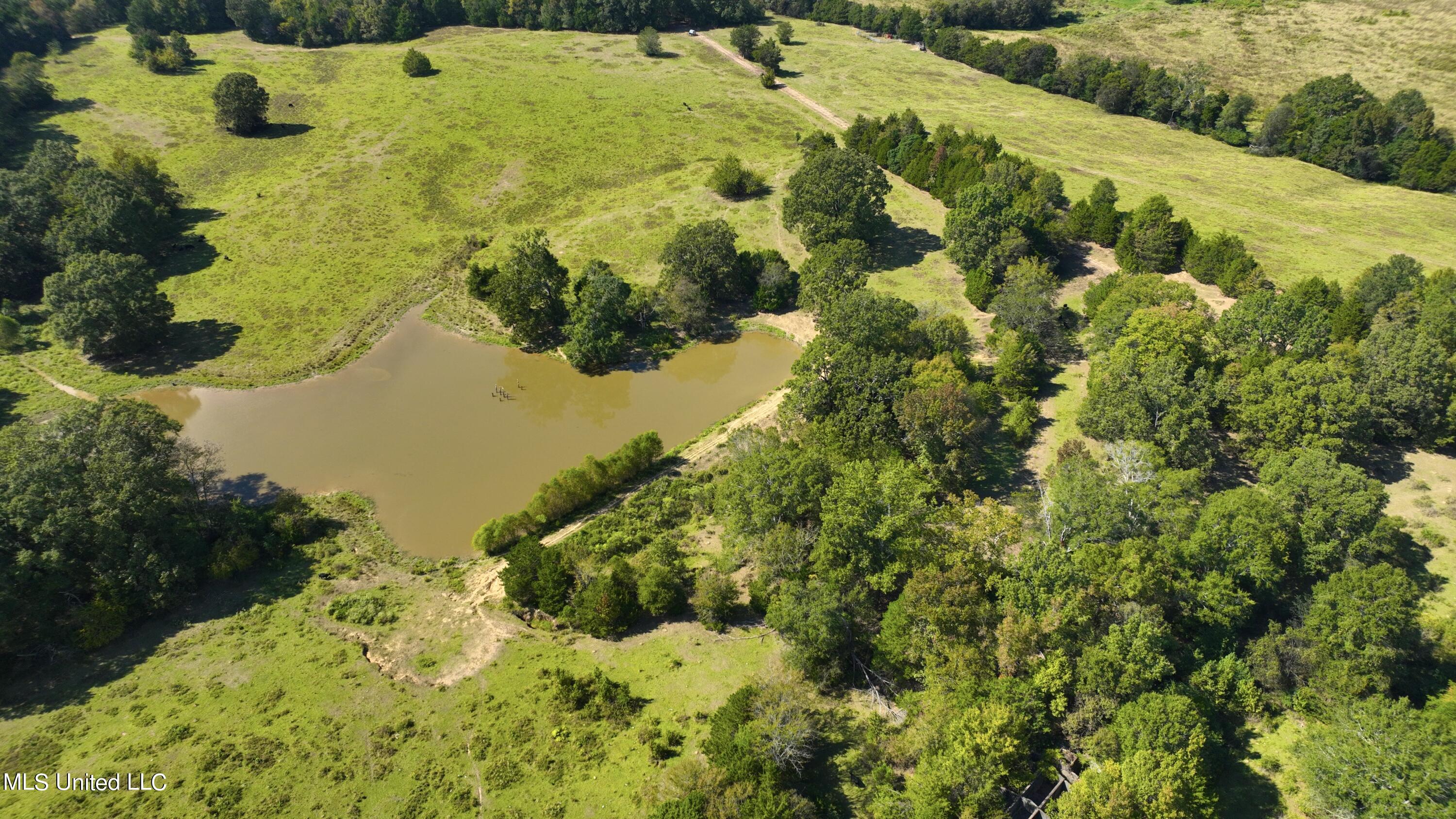2 Livingston Vernon Road Flora, MS 39071 - Photo 70 of 71 dji_fly_20221005_141314_521_166499824379