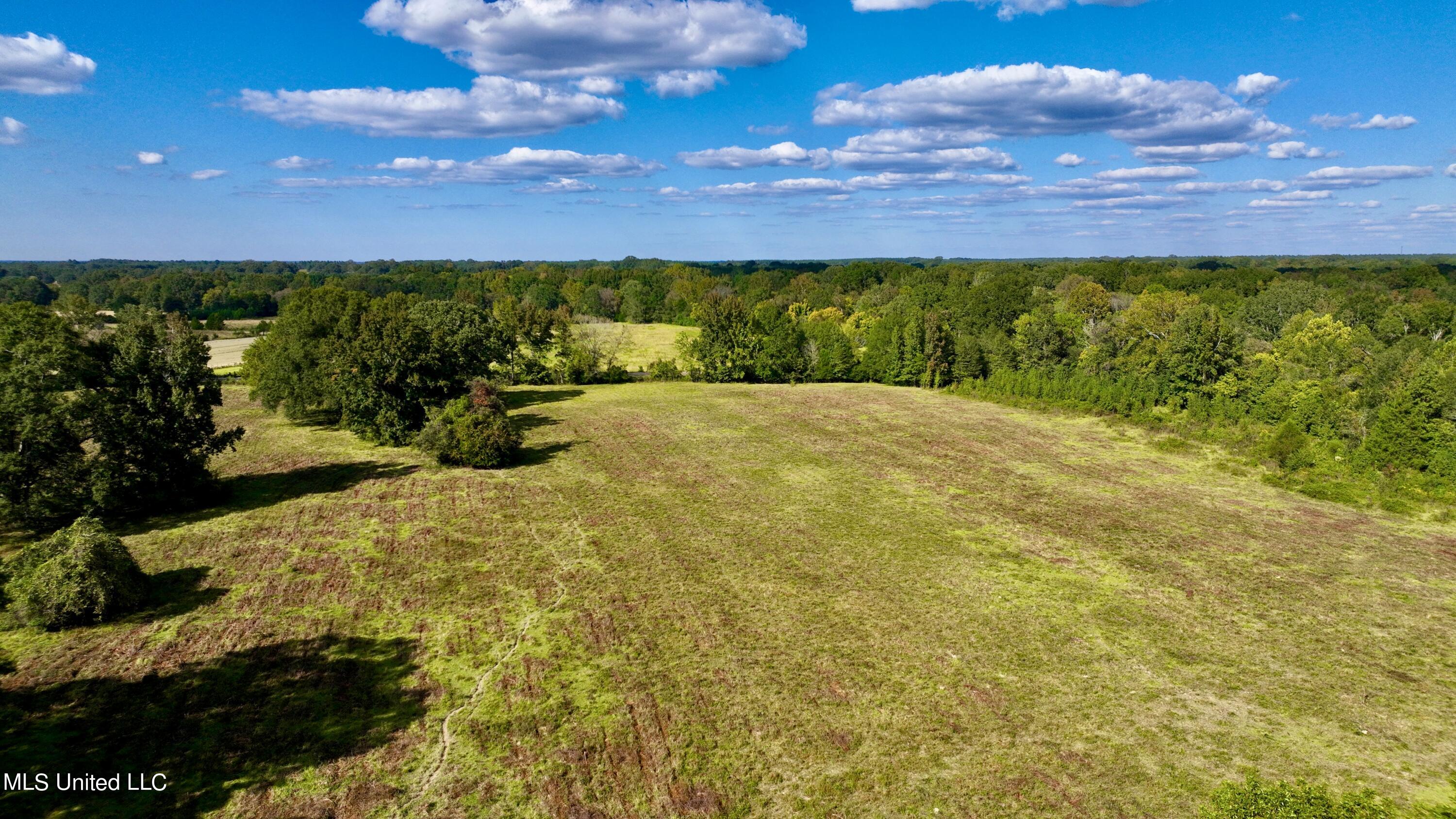 2 Livingston Vernon Road Flora, MS 39071 - Photo 8 of 71 dji_fly_20221004_153942_431_166499856397